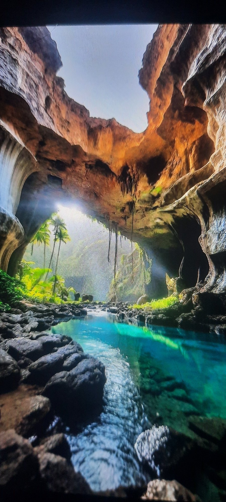 Cave scenery, perfume packaging, and floral accessories in one session