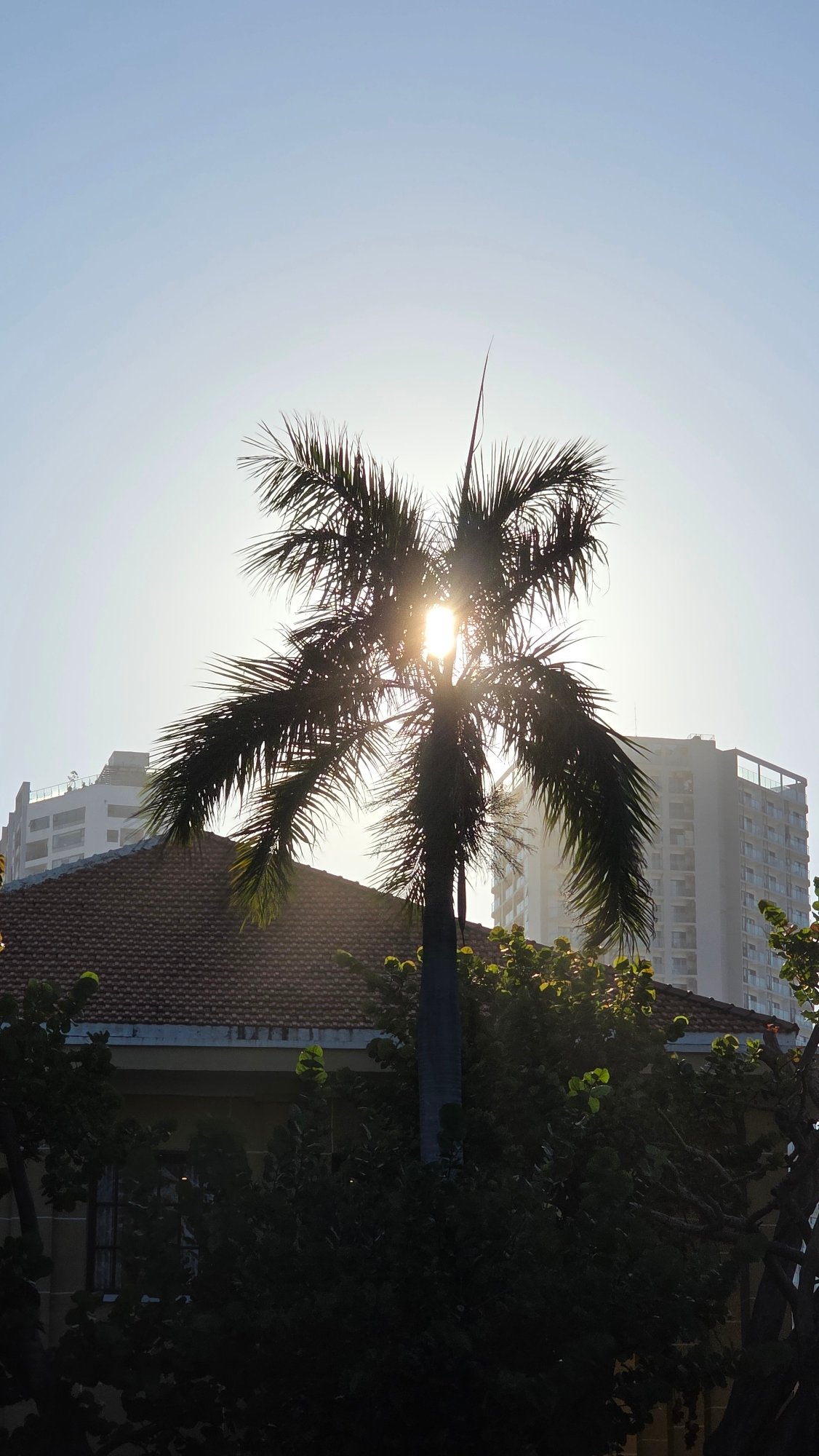 Morning life captured in Nha Trang beaches and streets