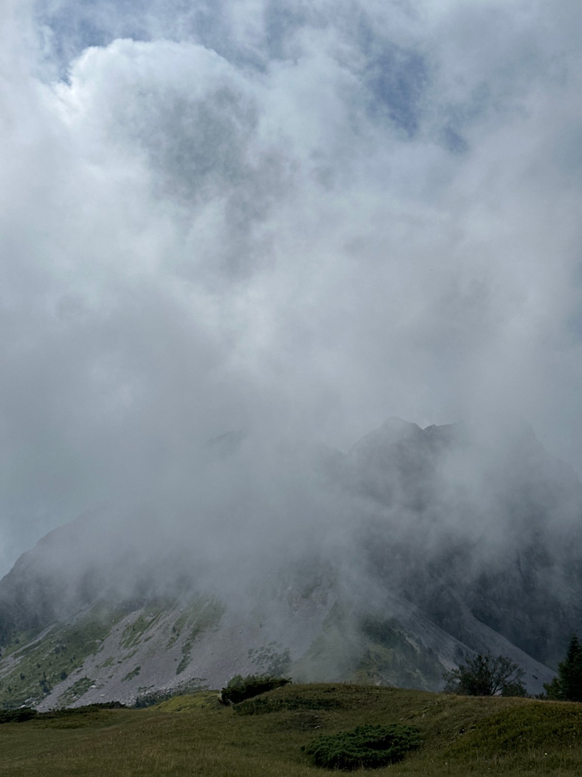 Foggy morning at a Montenegrin highland pasture with horses and cabins