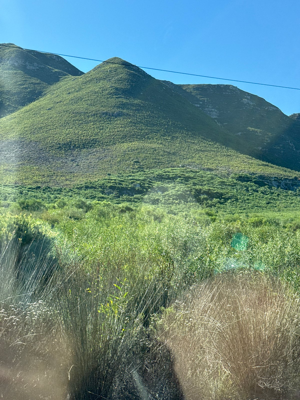 Lush green mountain observed in Overstrand, South Africa