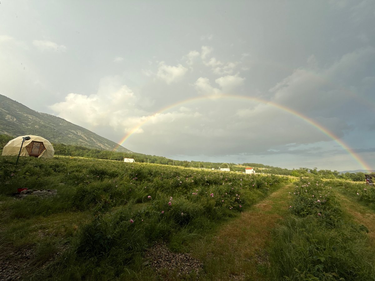 Camping documented in Bulgaria's rose fields with rainbows