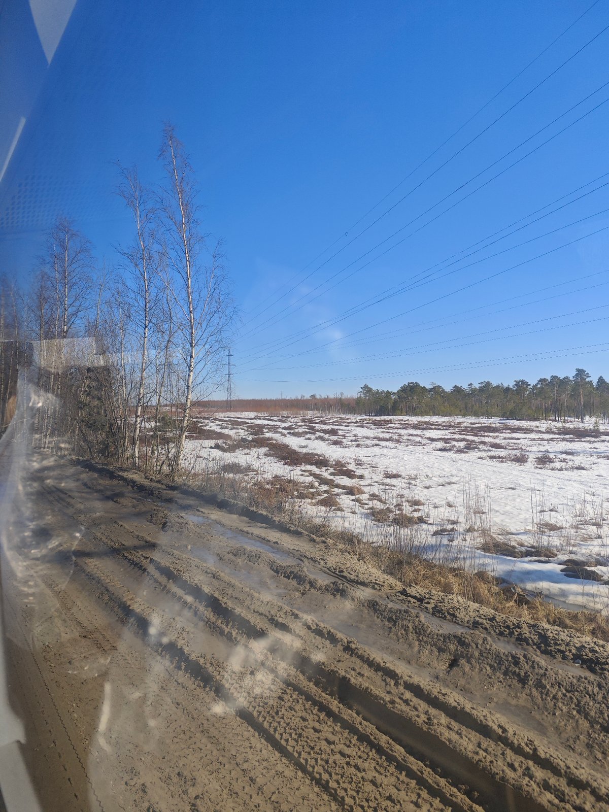 Vehicle passenger captures muddy Russian road with birch trees