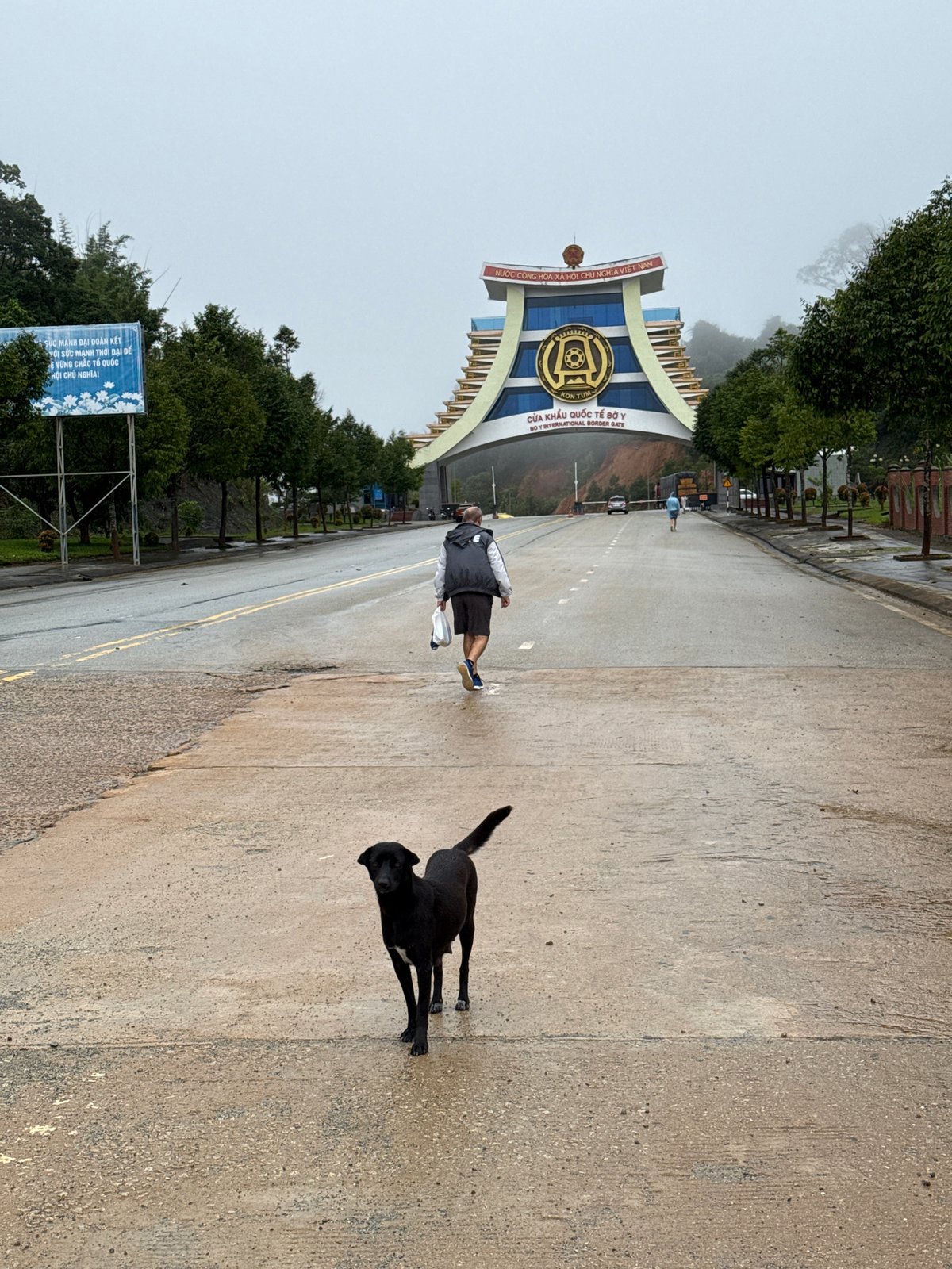 Black dog on a wet road, misty rural Bo Y