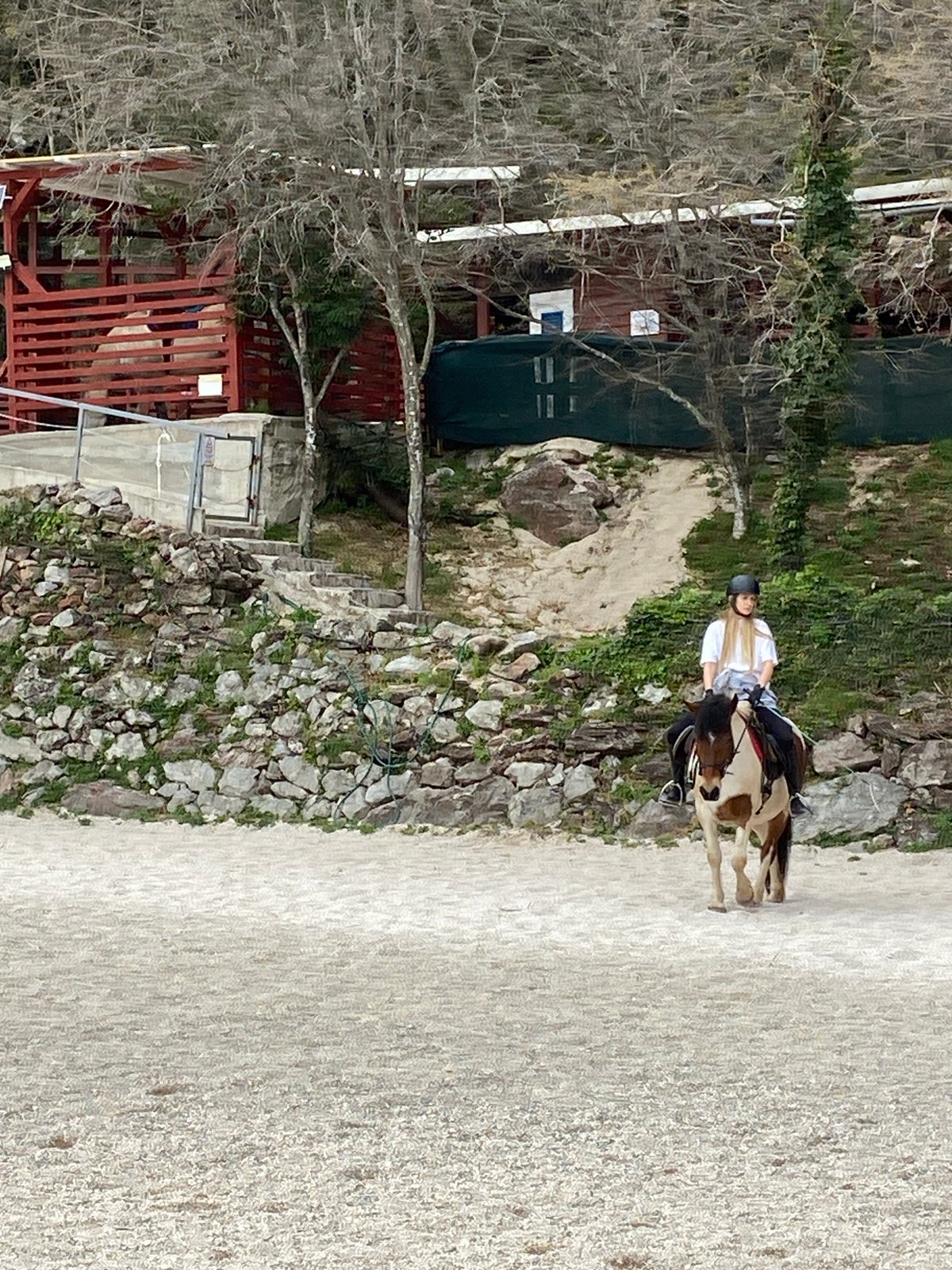 Equestrian training session captured in rural Montenegro