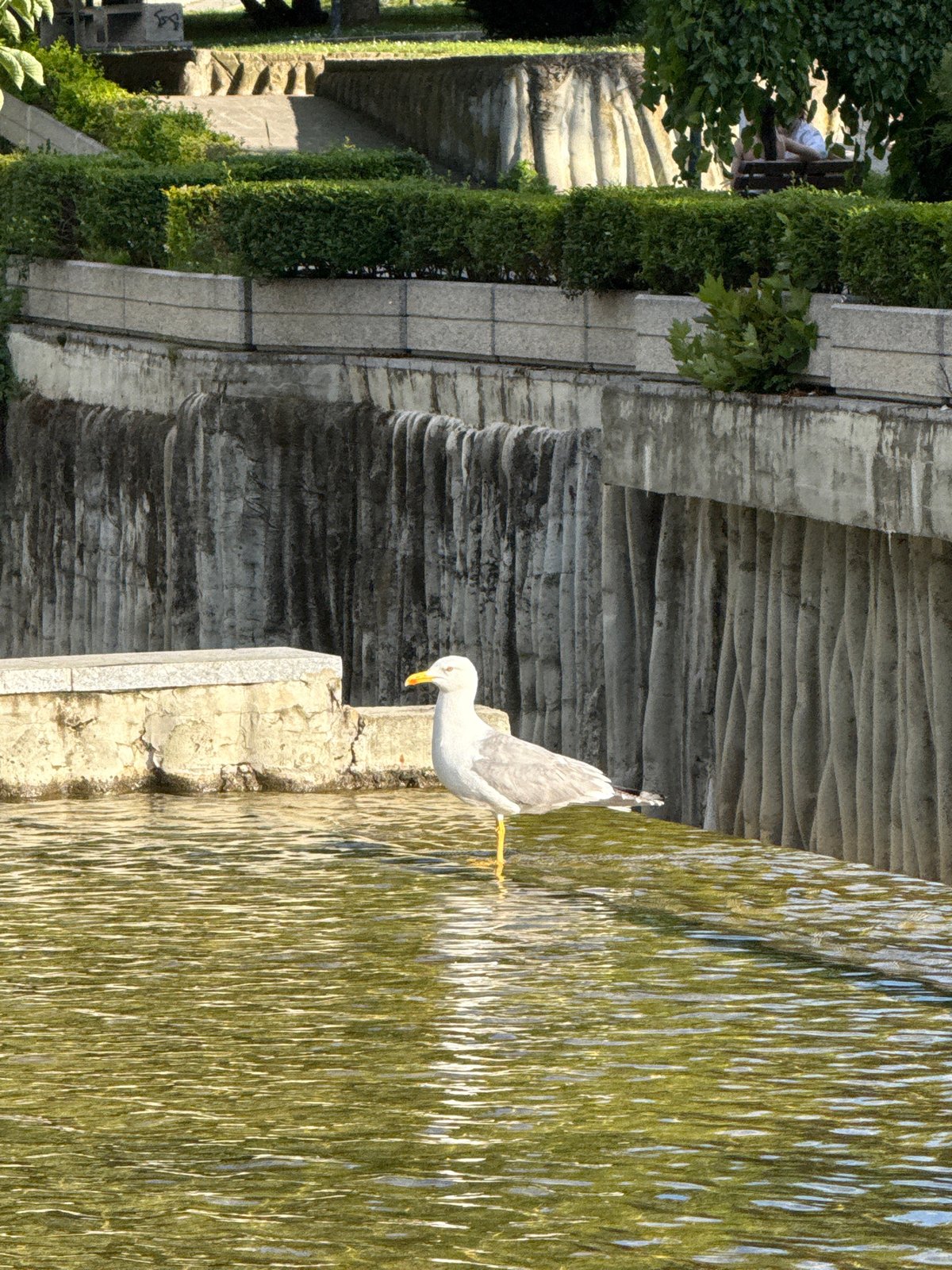Afternoon park visit documented in Pleven, Bulgaria