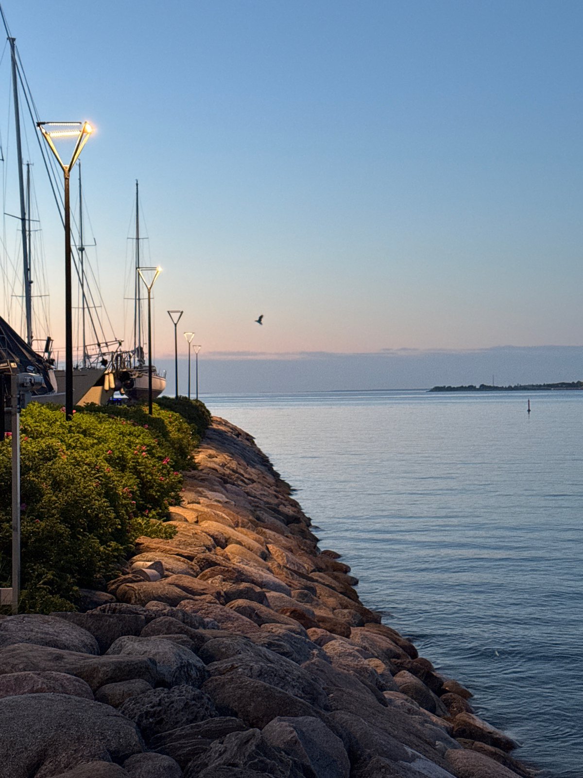 Witness documents twilight scenes across Tallinn during 12-minute evening period