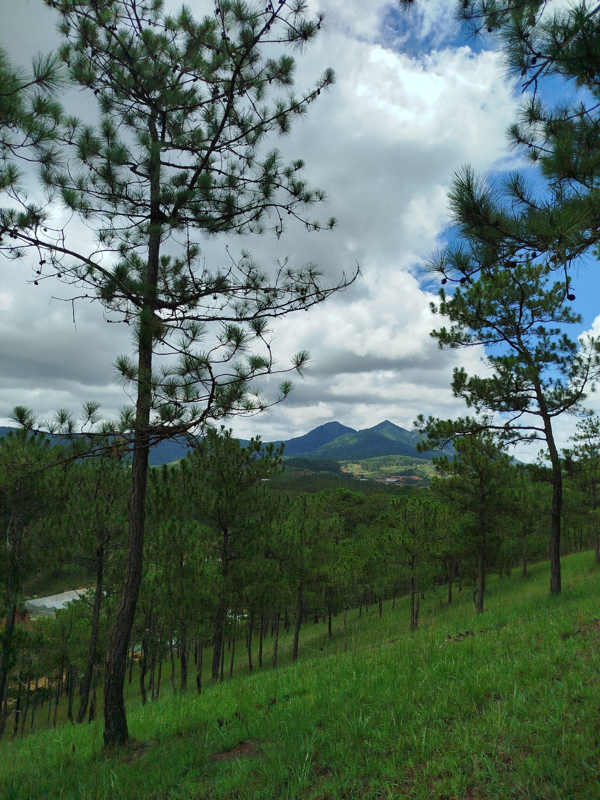Tourist documents replica monuments at Da Lat theme park