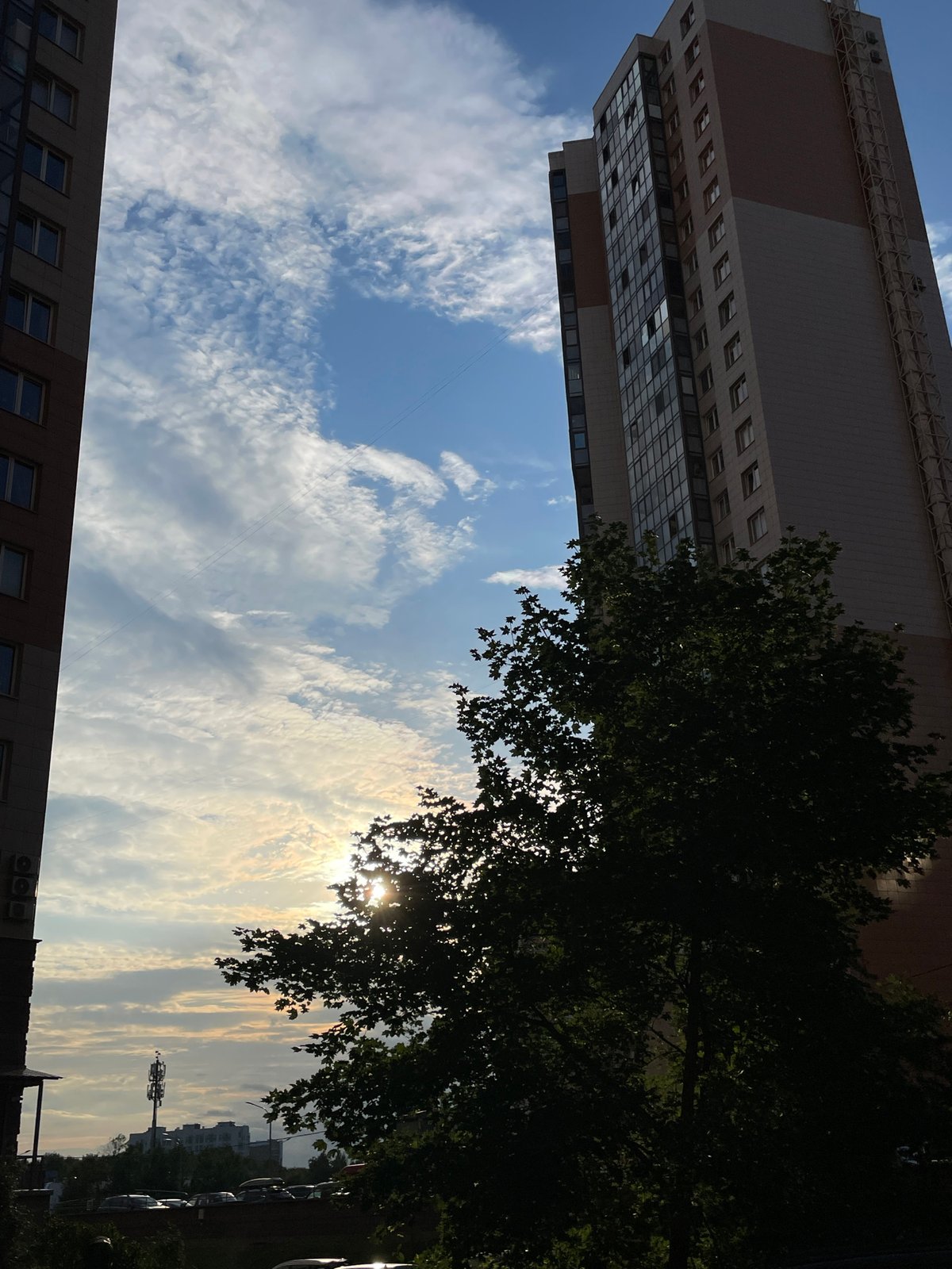 Summer afternoon snapshots around a Saint Petersburg neighborhood