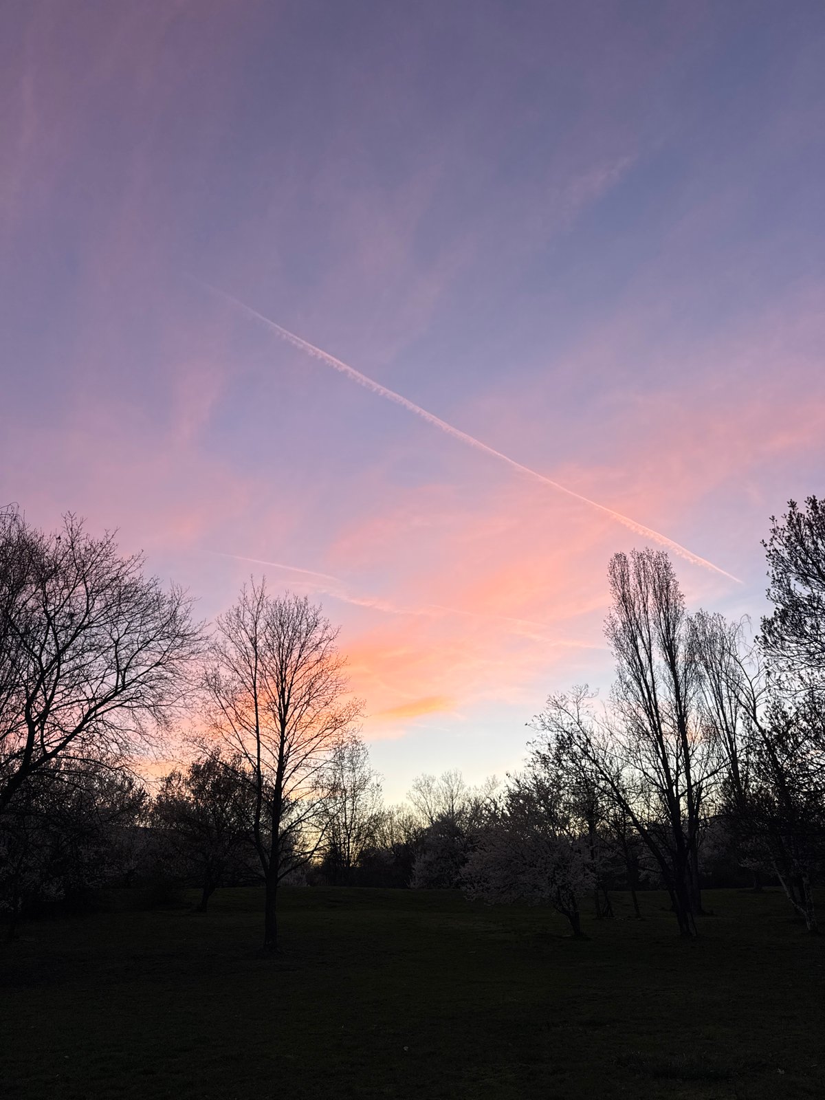 Evening park and playground activity observed in Sofia