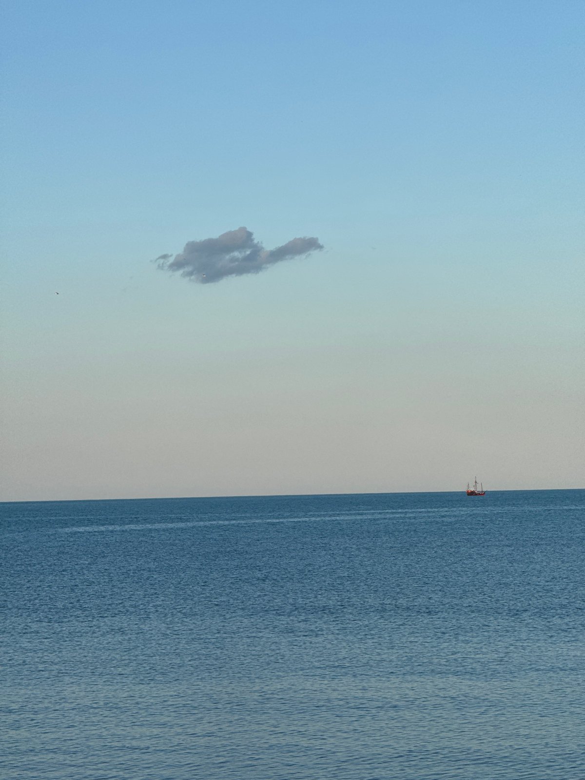 Ship spotted on horizon off Bulgarian coast near Varna
