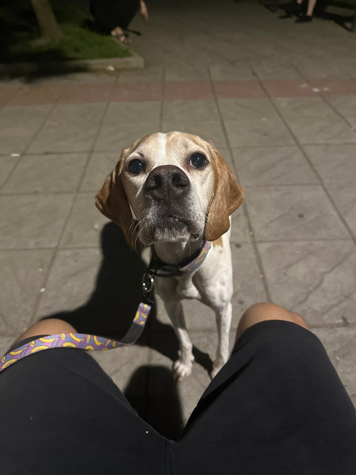 Sofia resident captures ordinary neighborhood moments across city