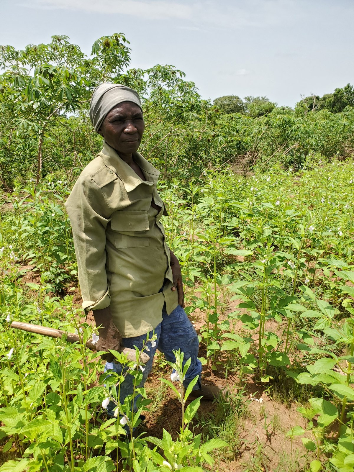 Agricultural workers tend crops in Mararaba, Nigeria fields