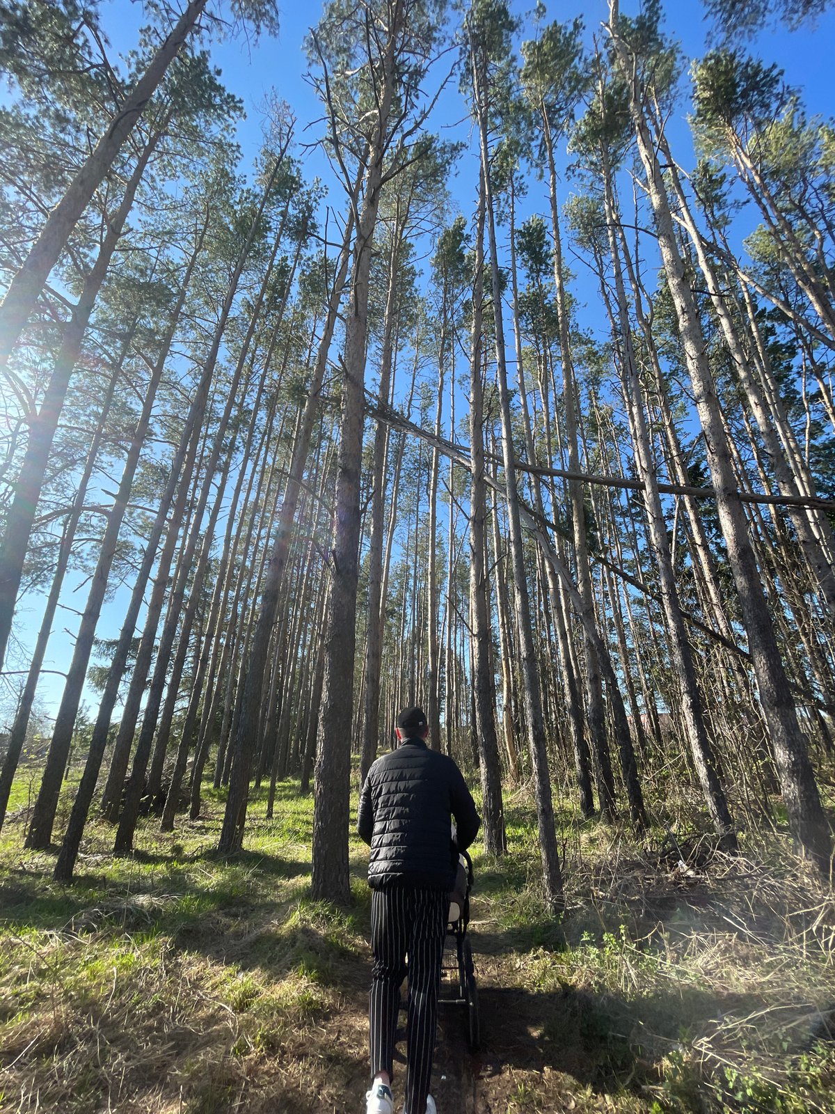 Person walks forest paths, takes selfies in Подшивалово, Russia