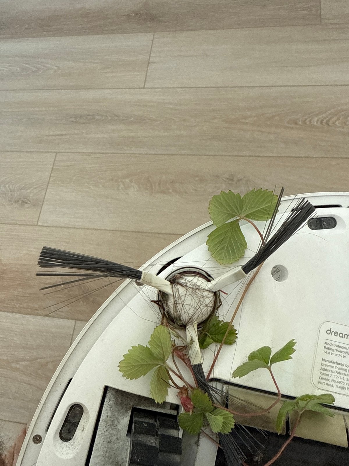 Robotic vacuum found with brushes tangled in human hair
