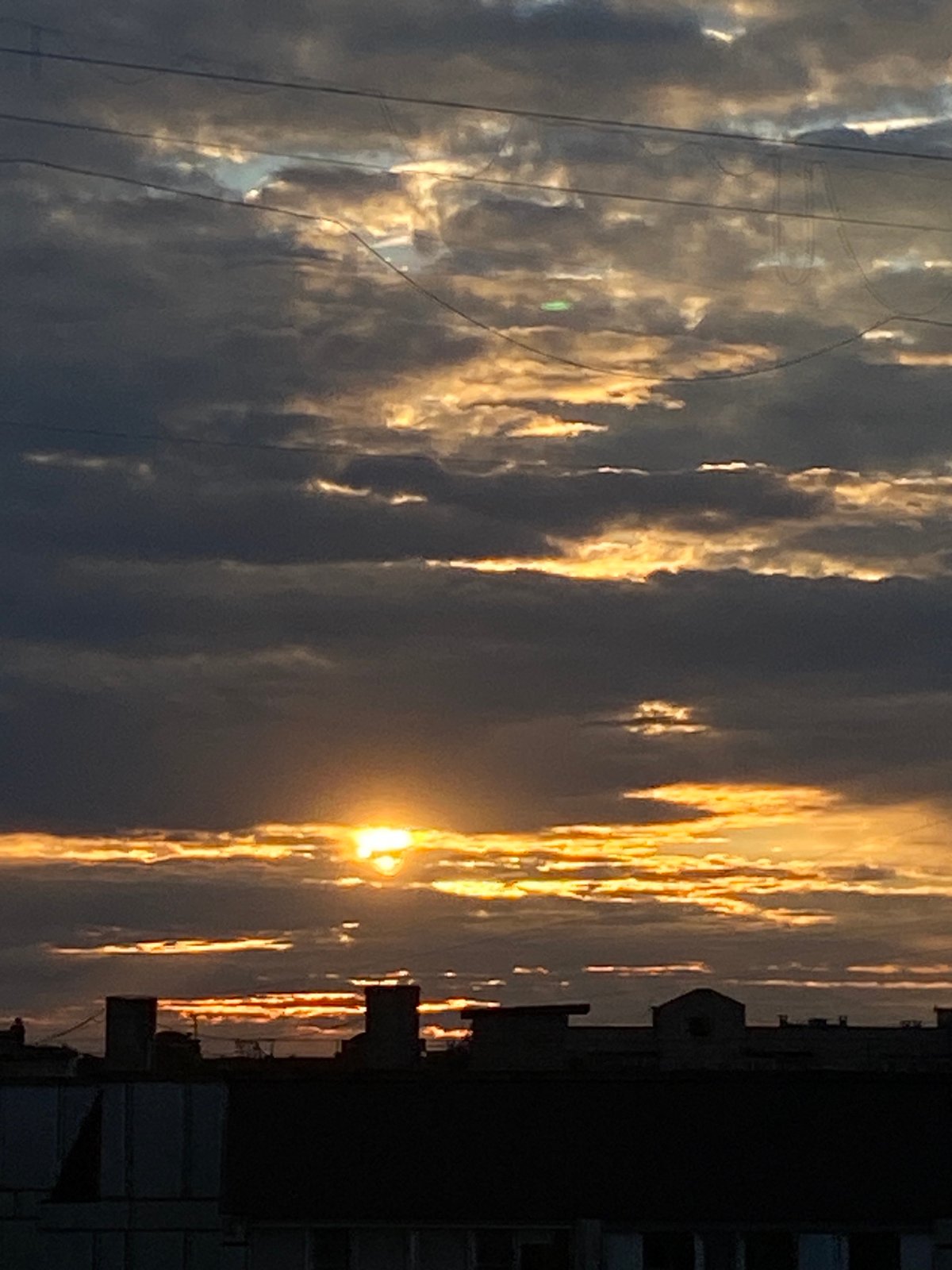 Cats, sunsets, and home life on a Chaikovsky evening