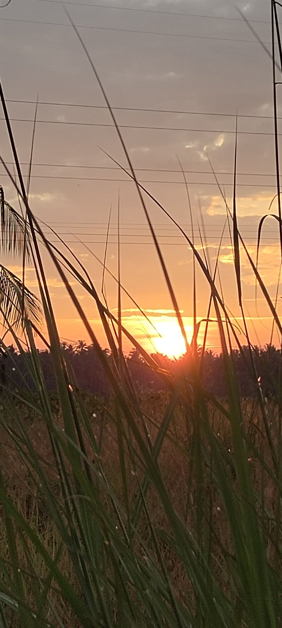Sunset over tropical farmland on the edge of Lhokseumawe