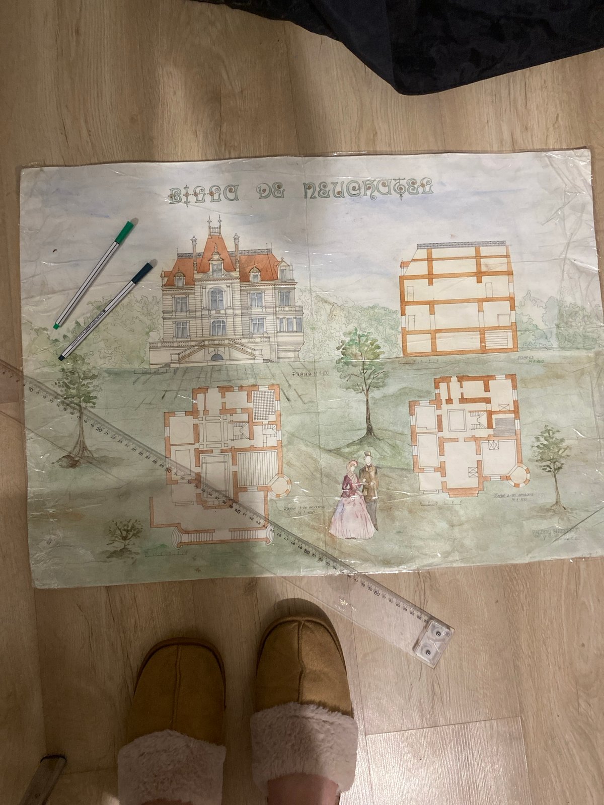 Architect sketches gazebo designs while cat observes in Yekaterinburg