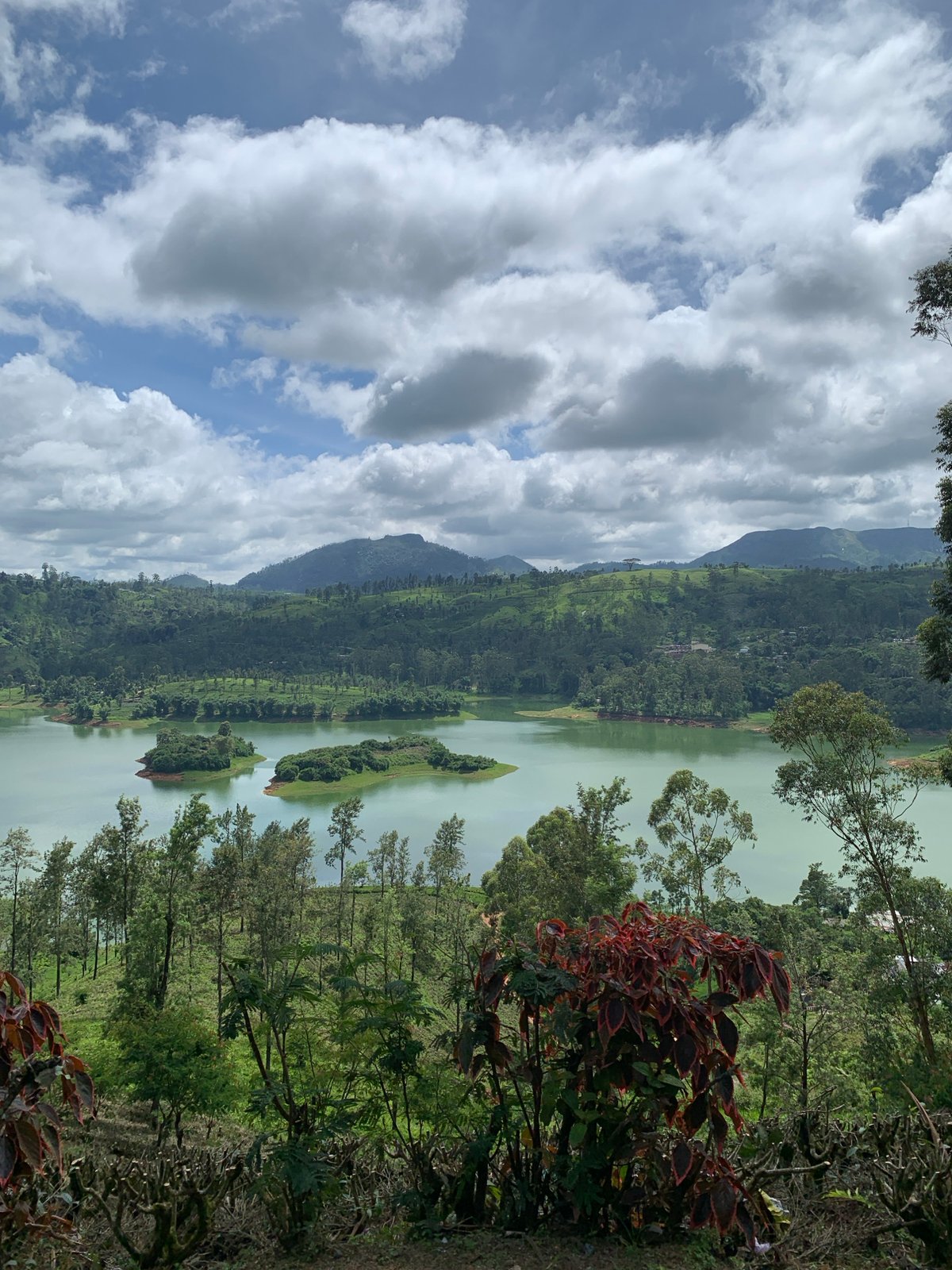 Scooter ride past lakes and tea hills in Kuda Maskeliya