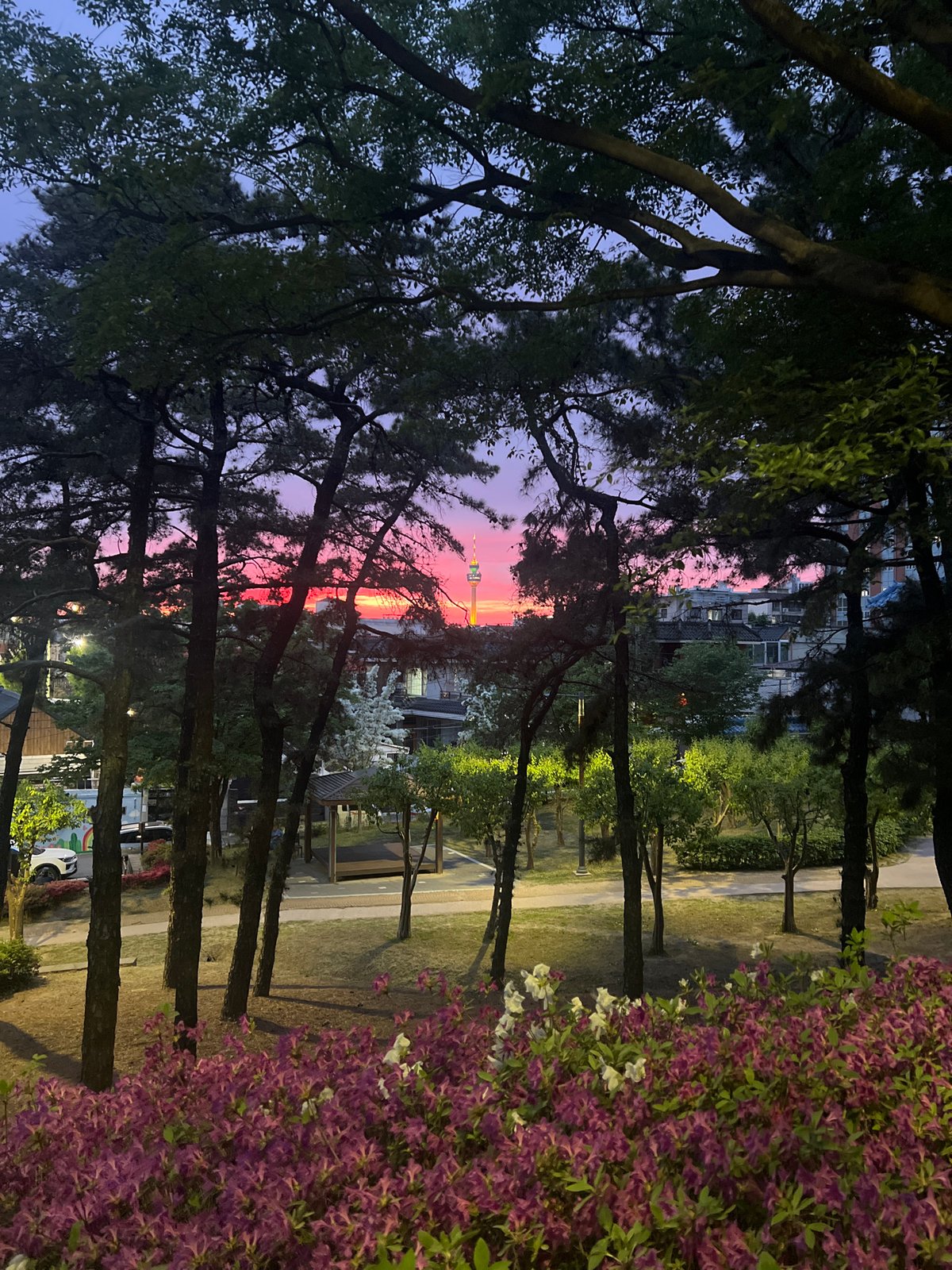 Colorful sunset captured over Daegu urban park