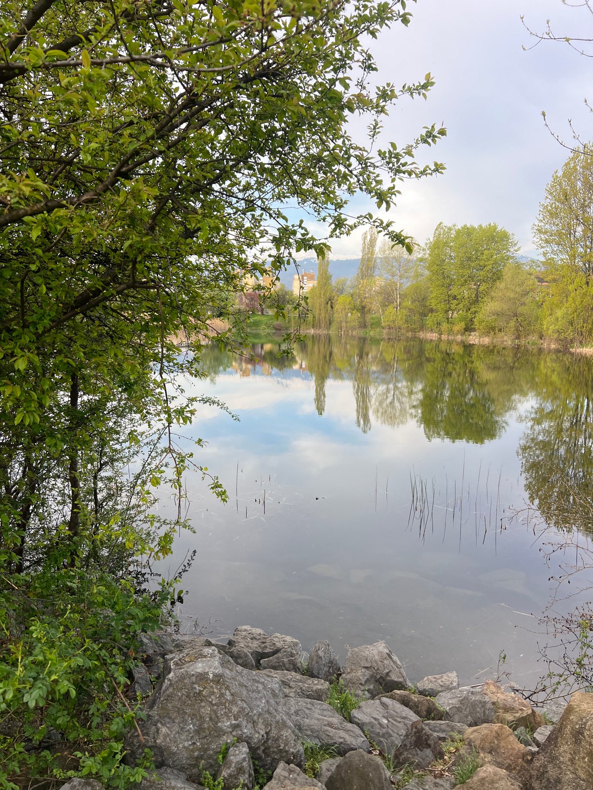 Early morning reflections captured at Sofia urban park