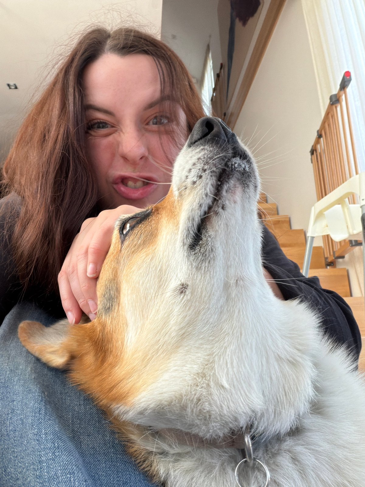 Quiet family moments with corgi documented in German home