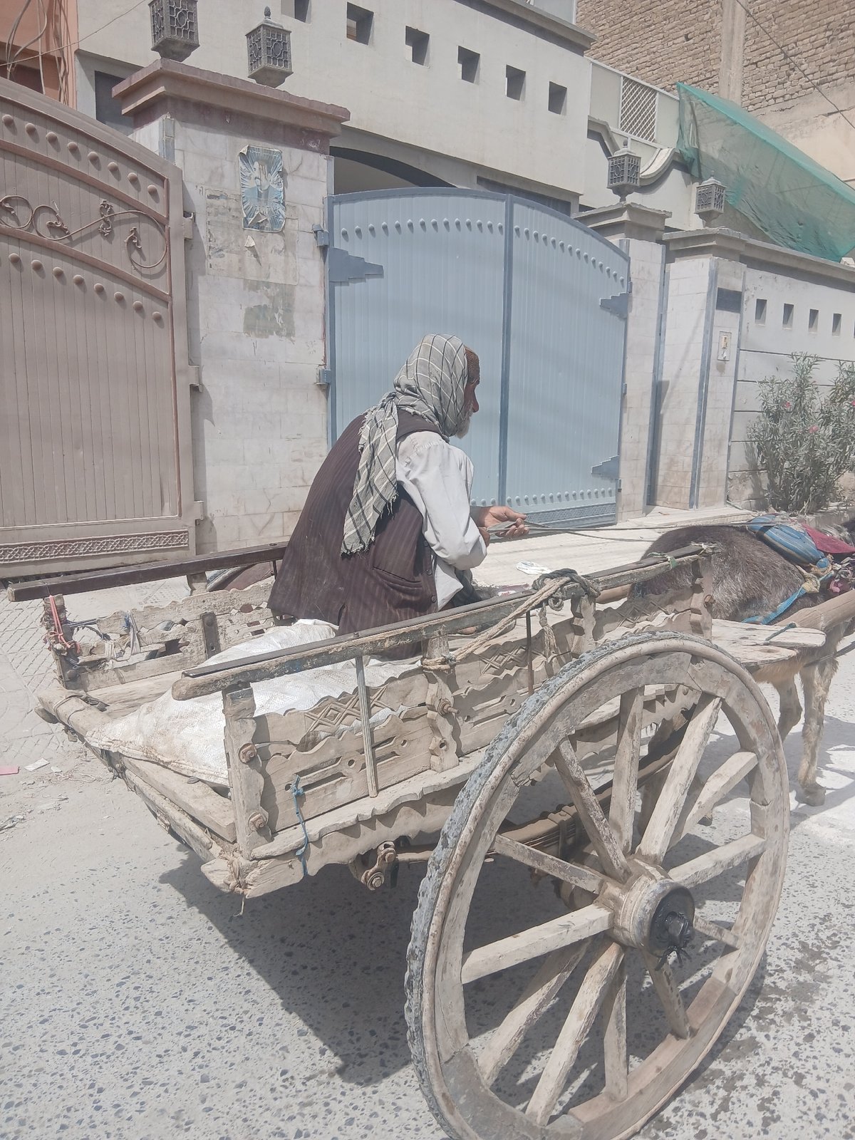 Traditional donkey cart spotted in Quetta City Tehsil