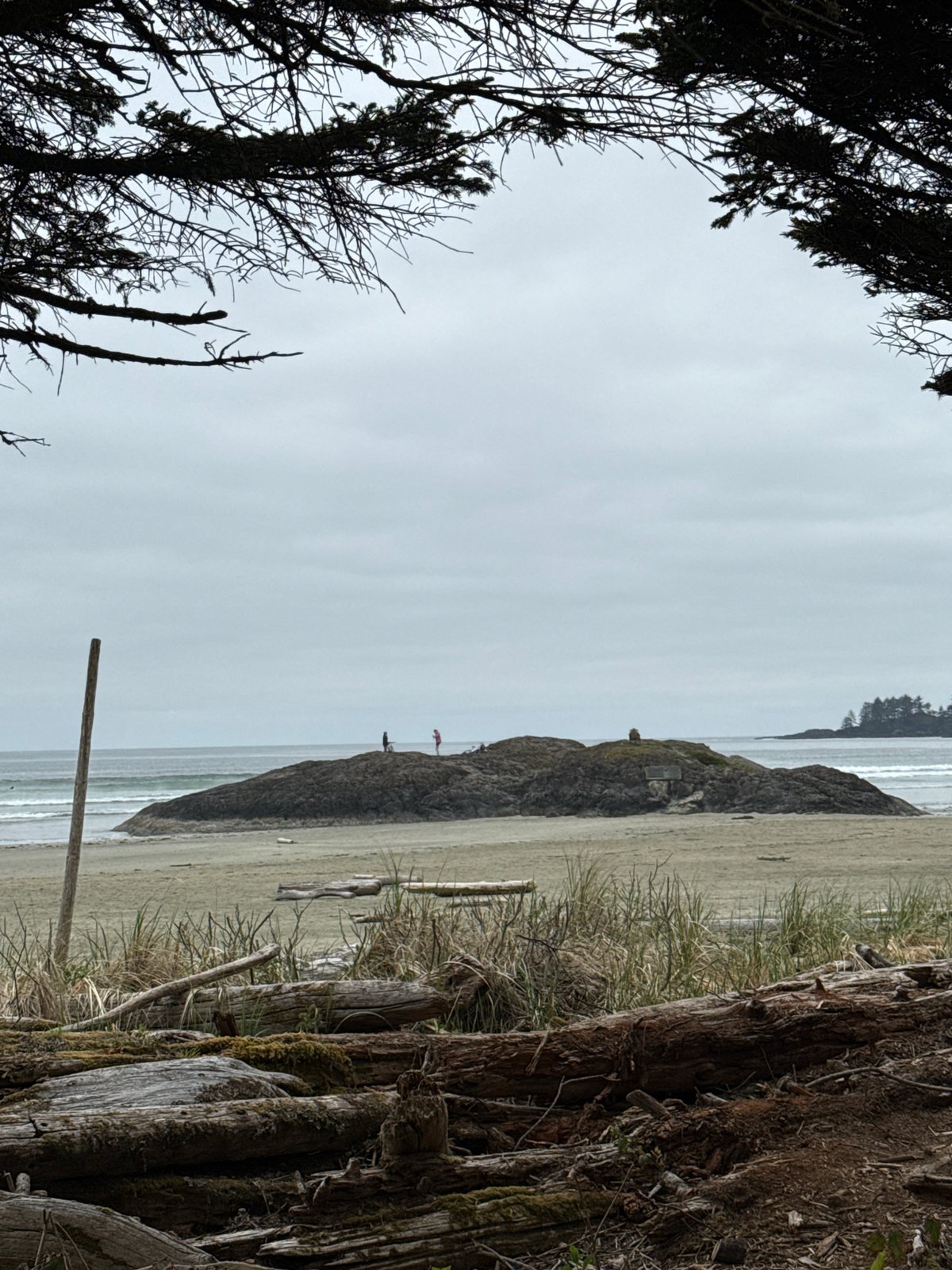 Nighttime beach scenes documented at Long Beach, Canada