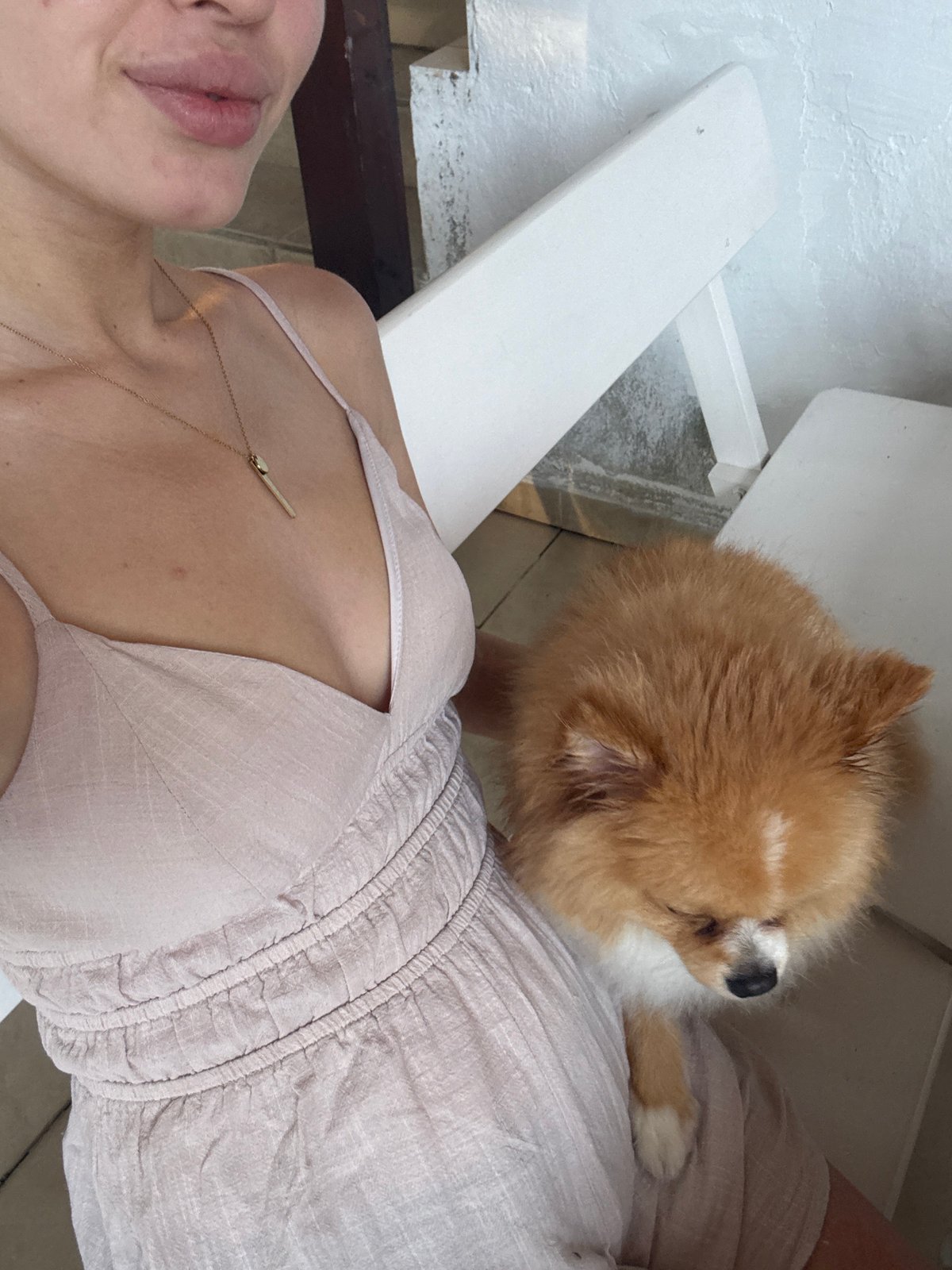 Casual dining with Pomeranian in Kiten restaurant setting