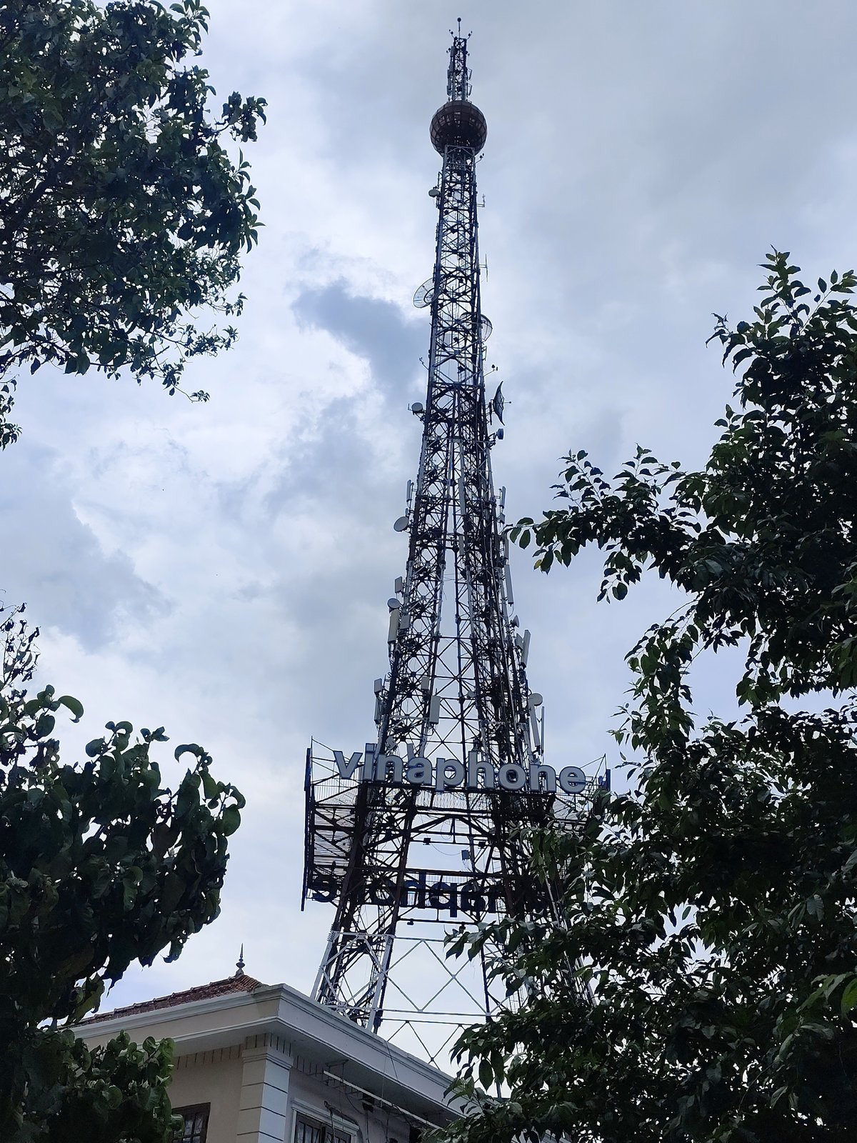 Morning snapshots across Da Lat's streets, shops, and landmarks
