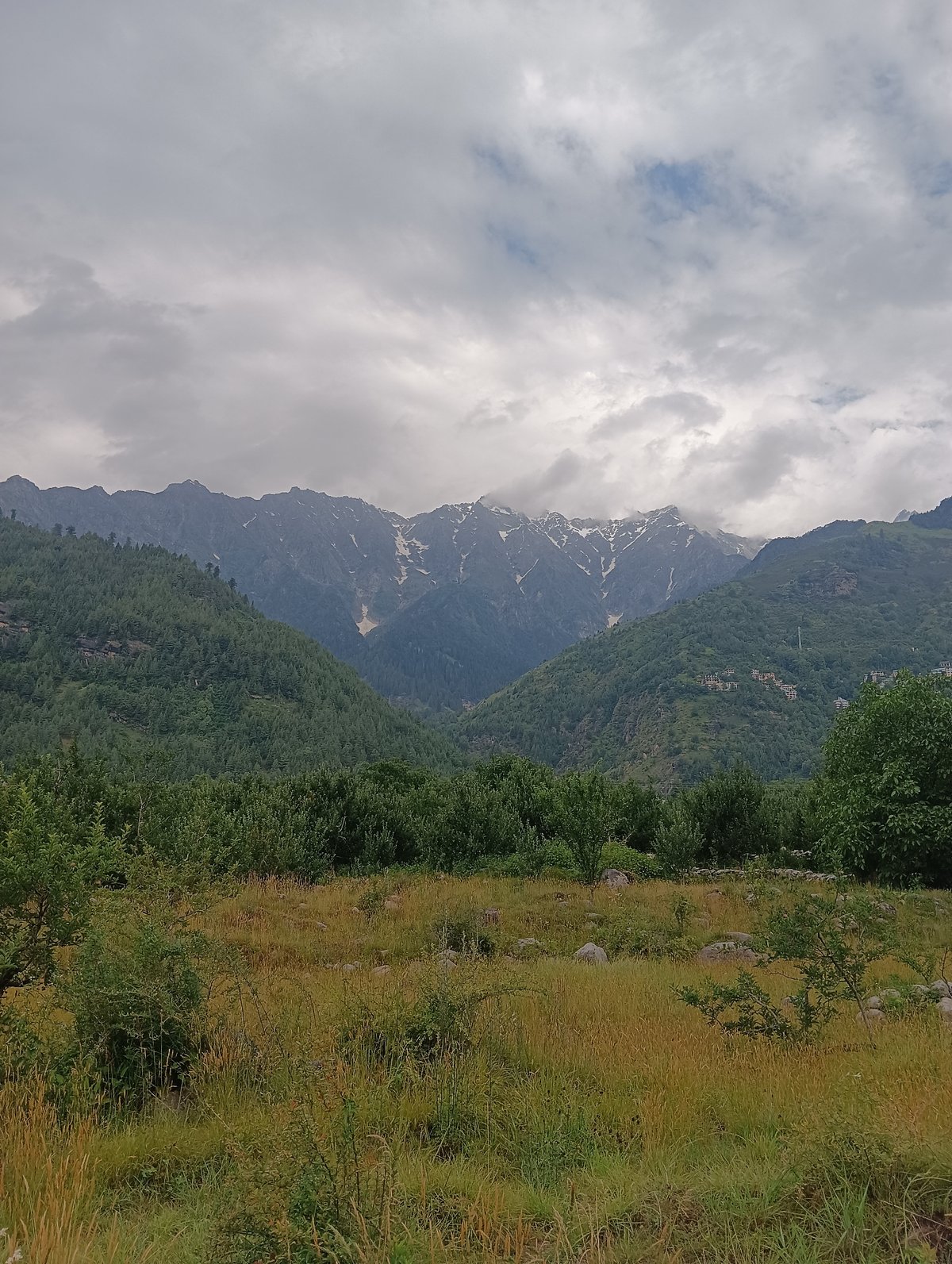 Stone paths and pine hills in the Himachal highlands