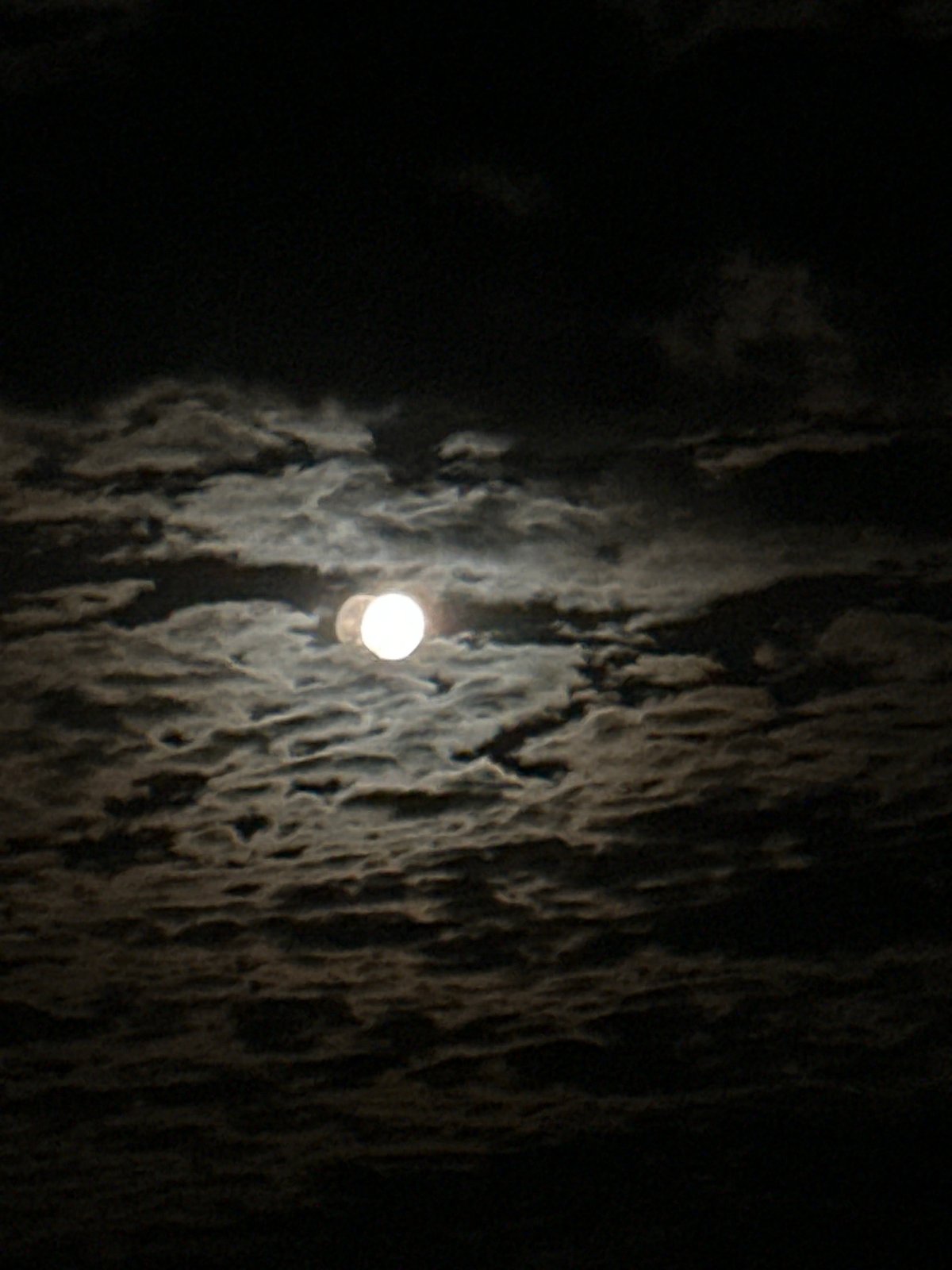 Full moon through cloudy night sky, plus a curious cat indoors