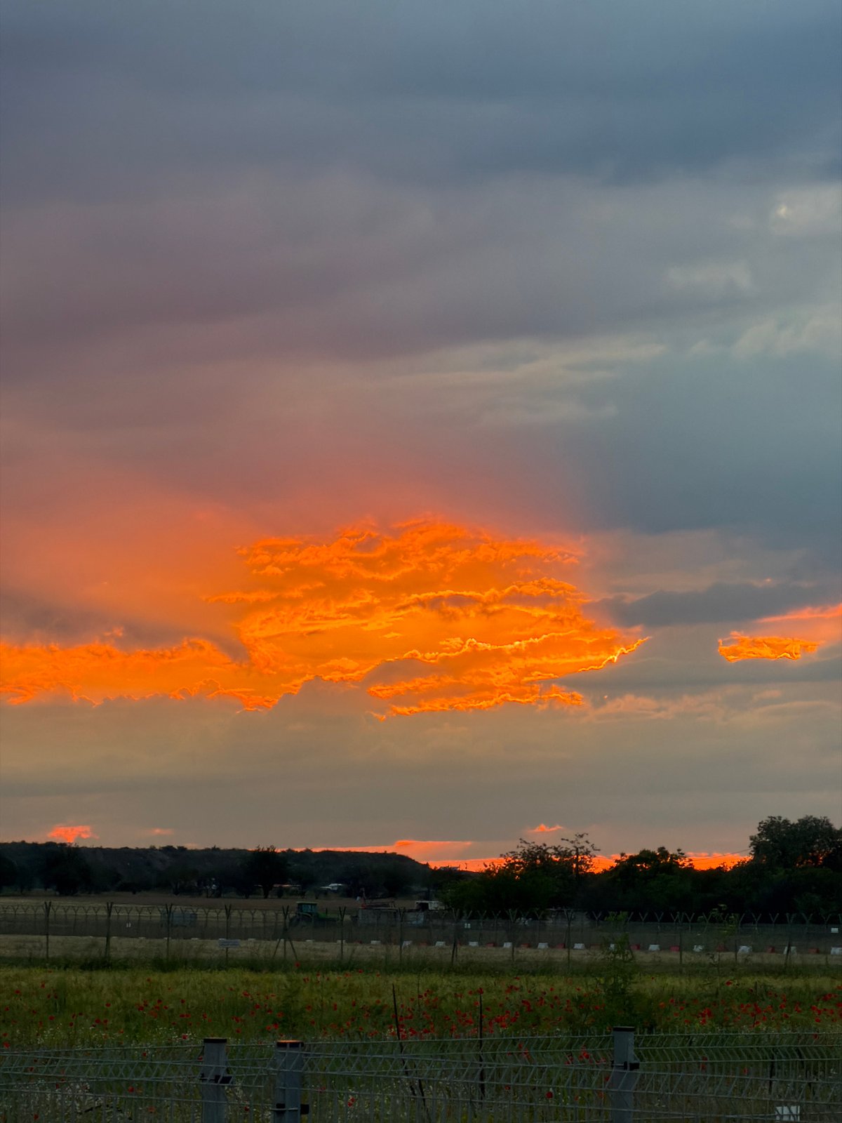 Low-flying aircraft observed over Sofia during dramatic sunset