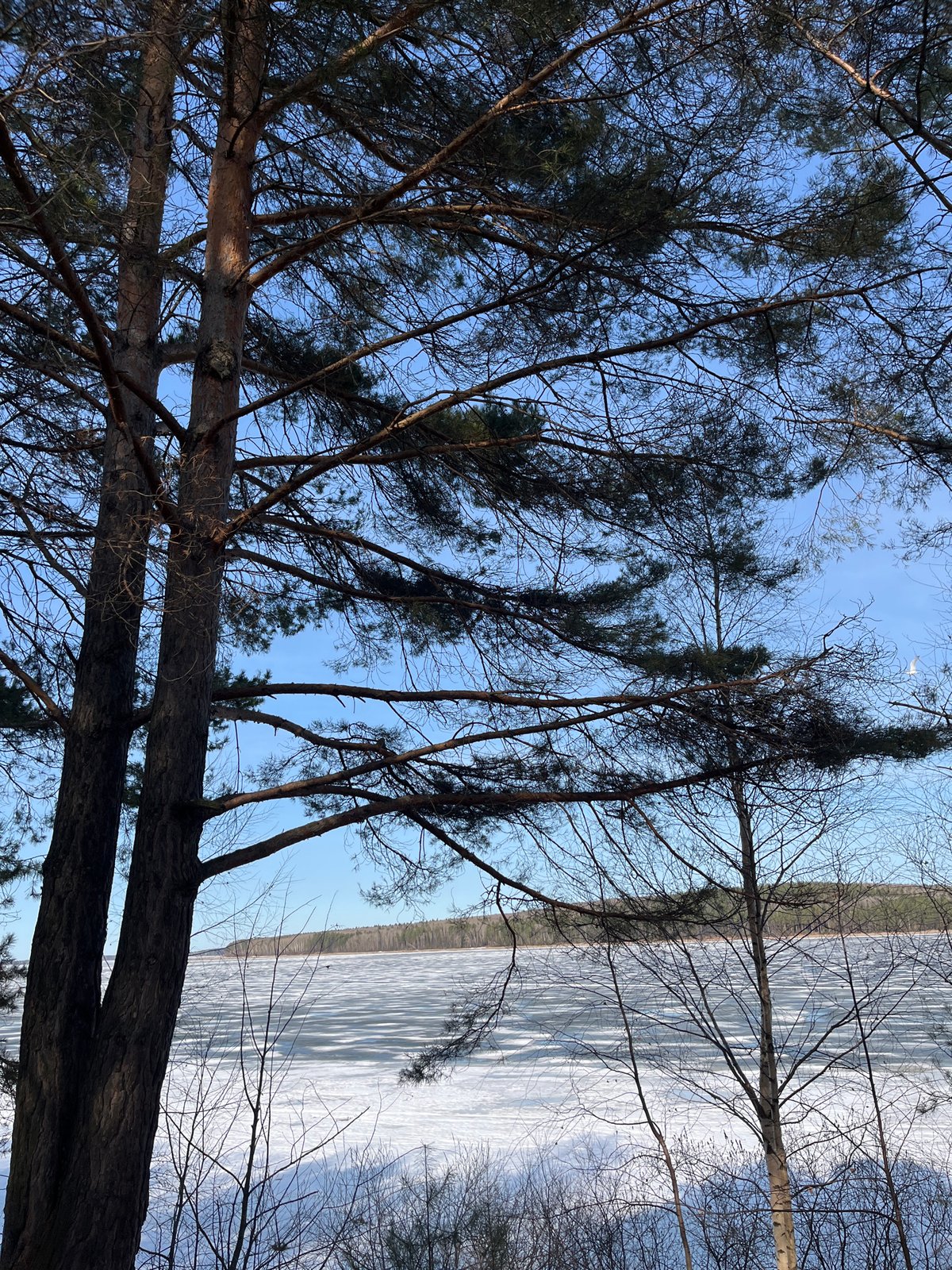 Winter day activities documented in Chaikovsky, Russia