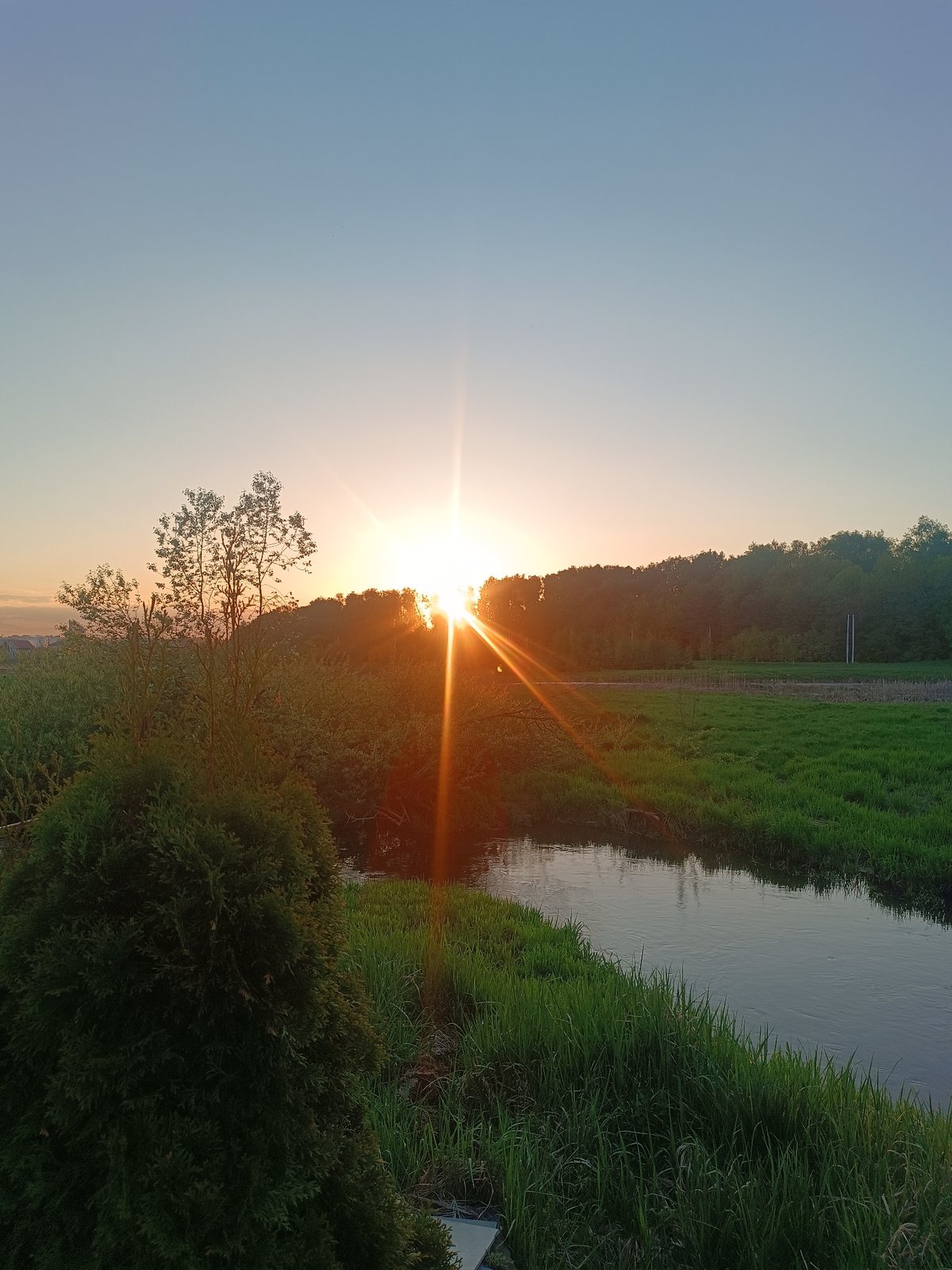 Sunset nature observation with caterpillars documented in Motyakovo