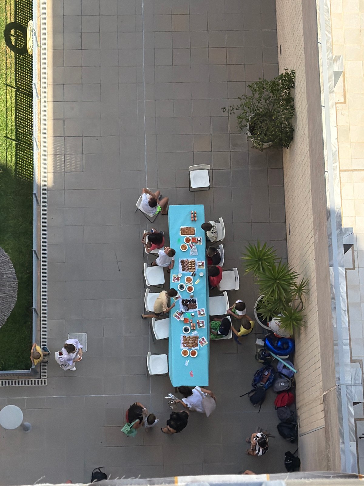 Outdoor dining gathering observed in palm-lined urban neighborhood