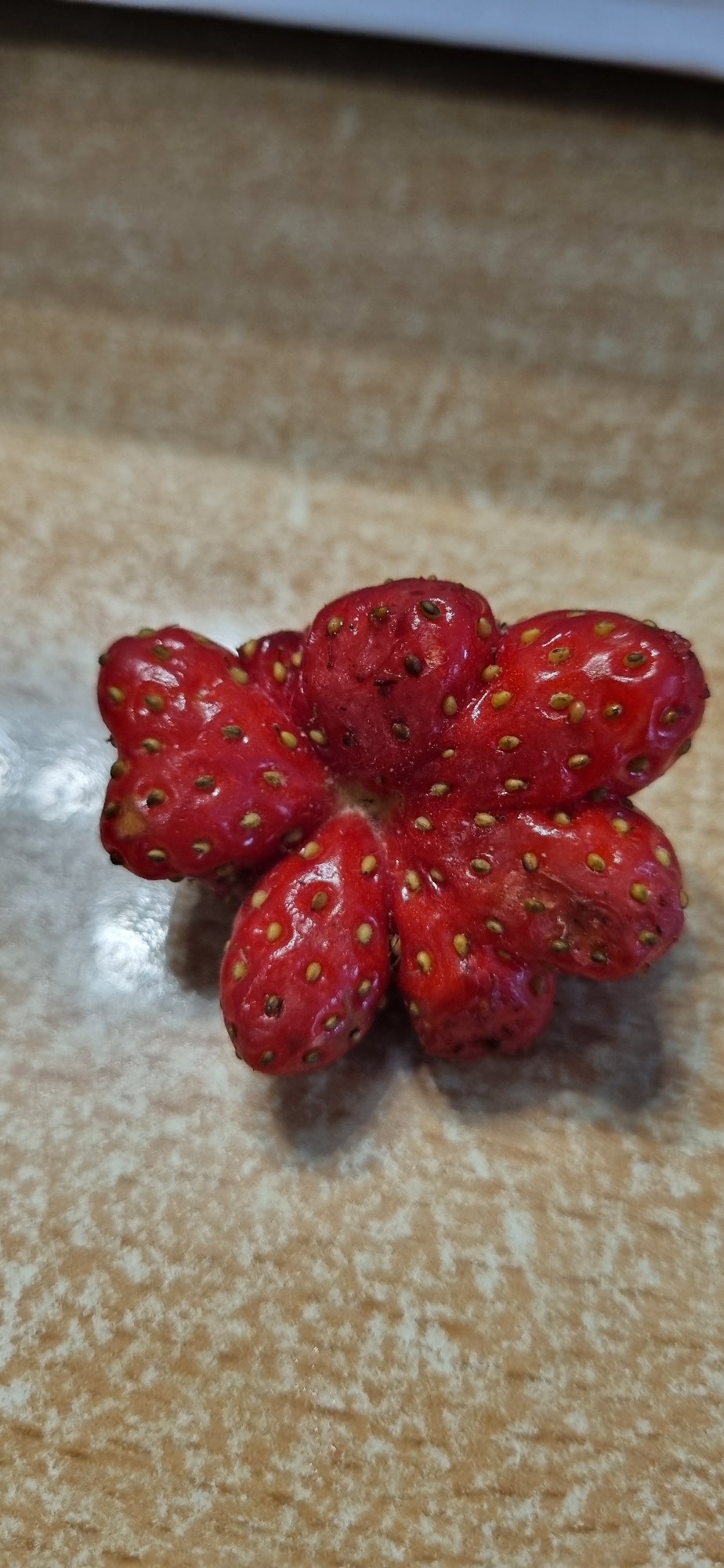 Misshapen strawberries documented on Ukrainian countertop
