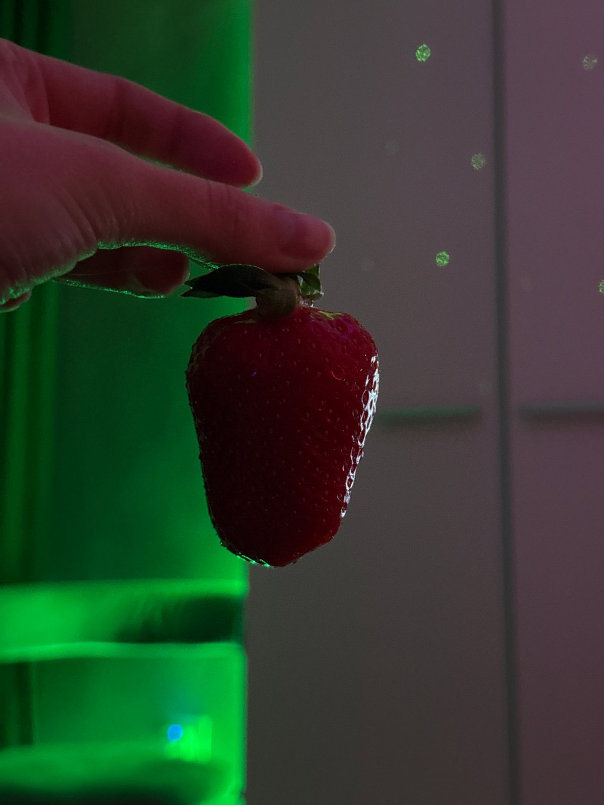 Person photographed handling strawberries indoors over three-hour period
