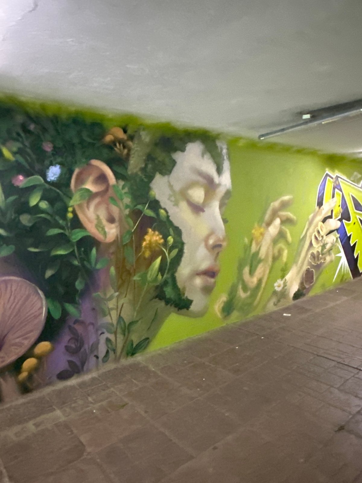 Street art and urban nature documented in Sofia