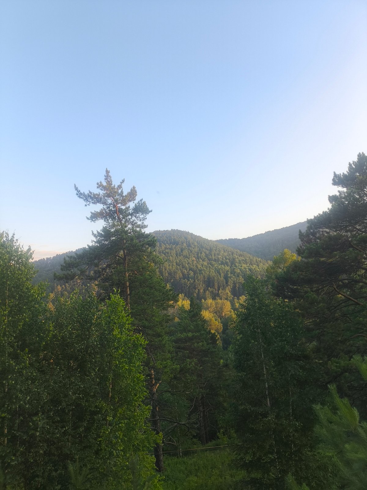 Scenic mountain overlook at golden hour, pine forests below