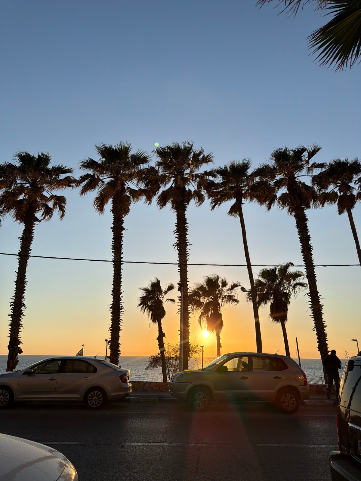 Sunset palms and bakery display captured in Bat Yam