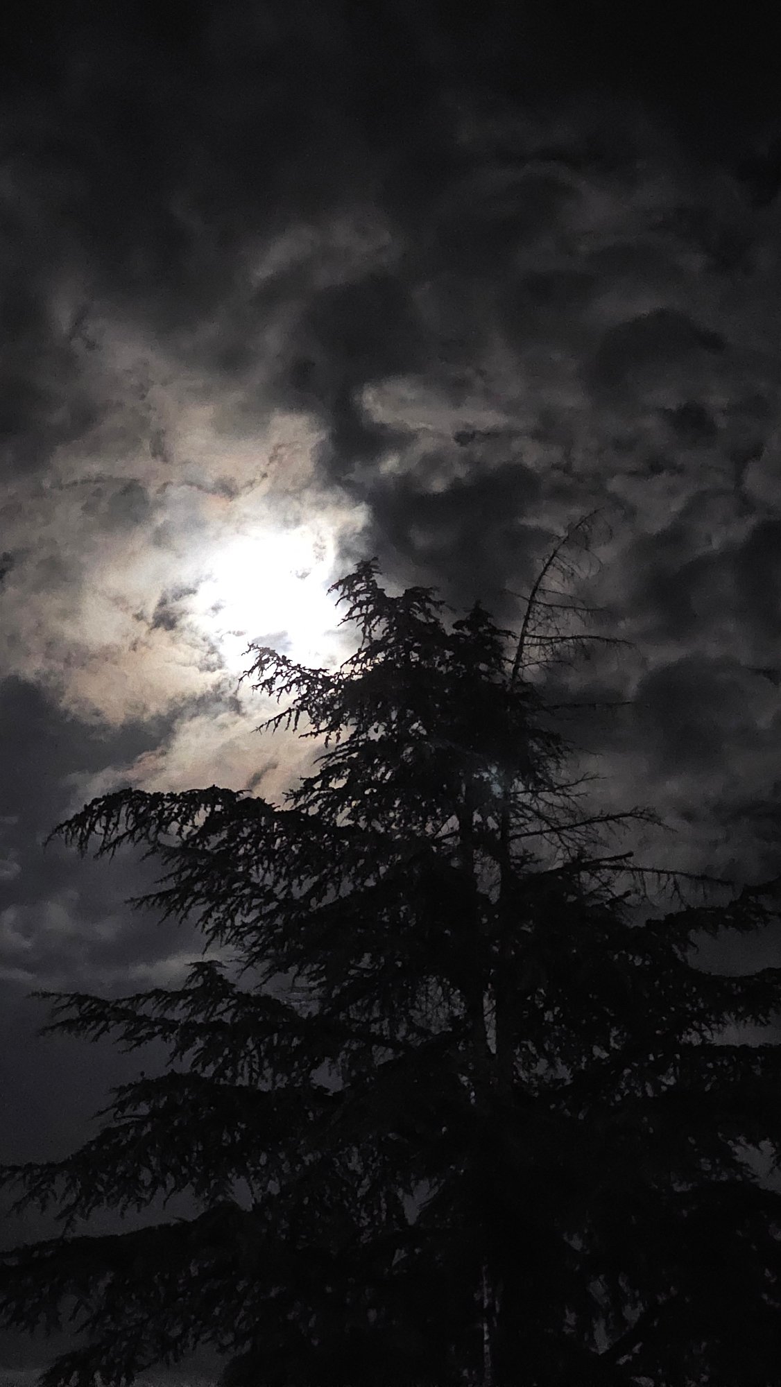 Moonlit evening scenes documented across Karlovo, Bulgaria