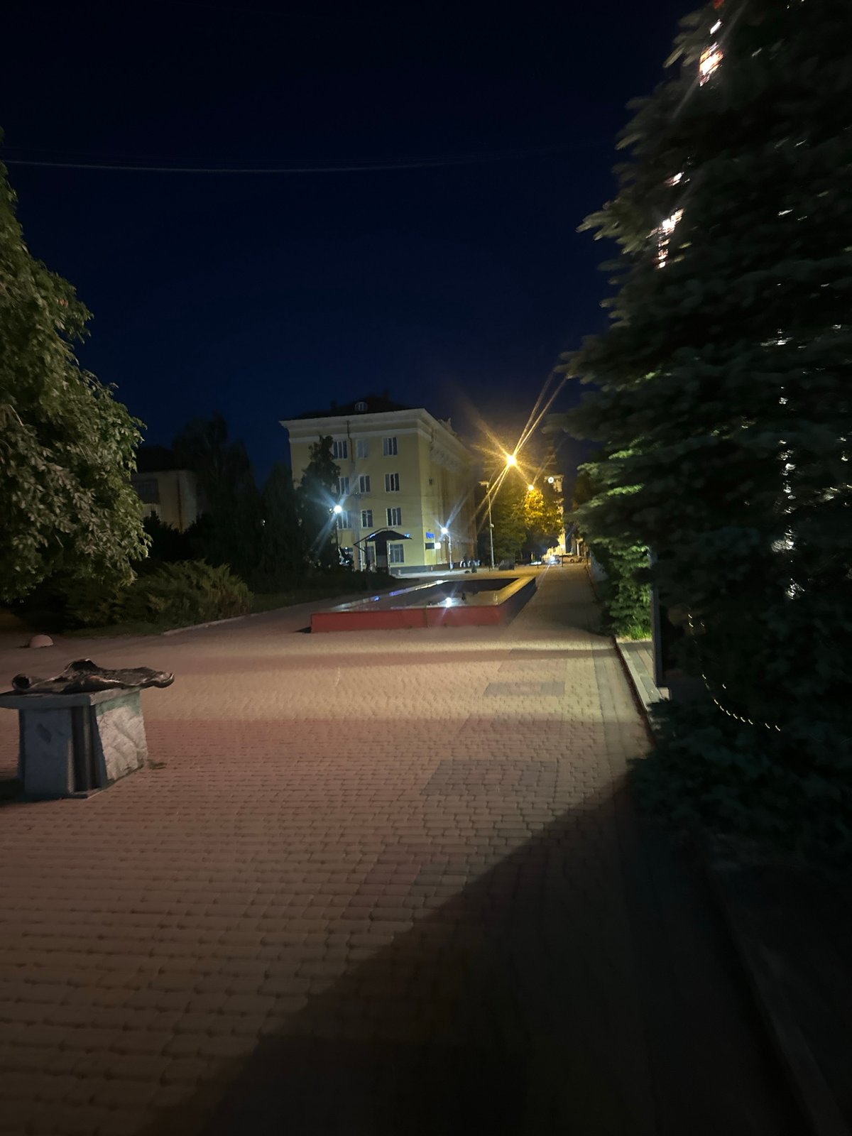 Outdoor cinema night along Ternopil's lakeside promenade