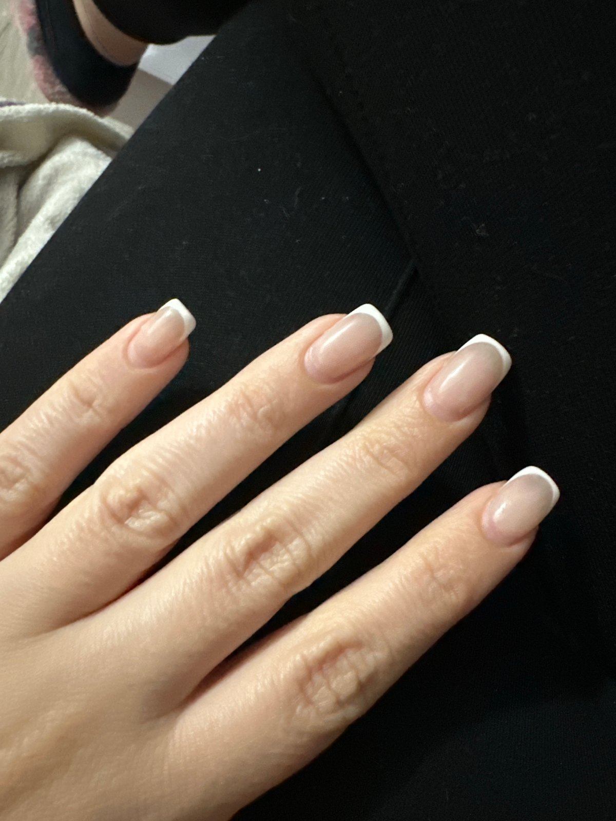 Sofia resident documents fresh manicure, home flowers Monday evening