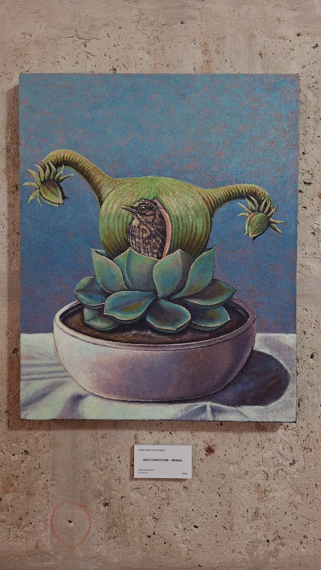 Art exhibition featuring birth-themed works documented in Arequipa