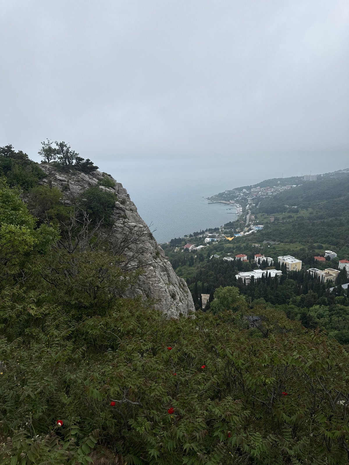 Morning fog shrouds Crimean coastal town amid spring poppy blooms