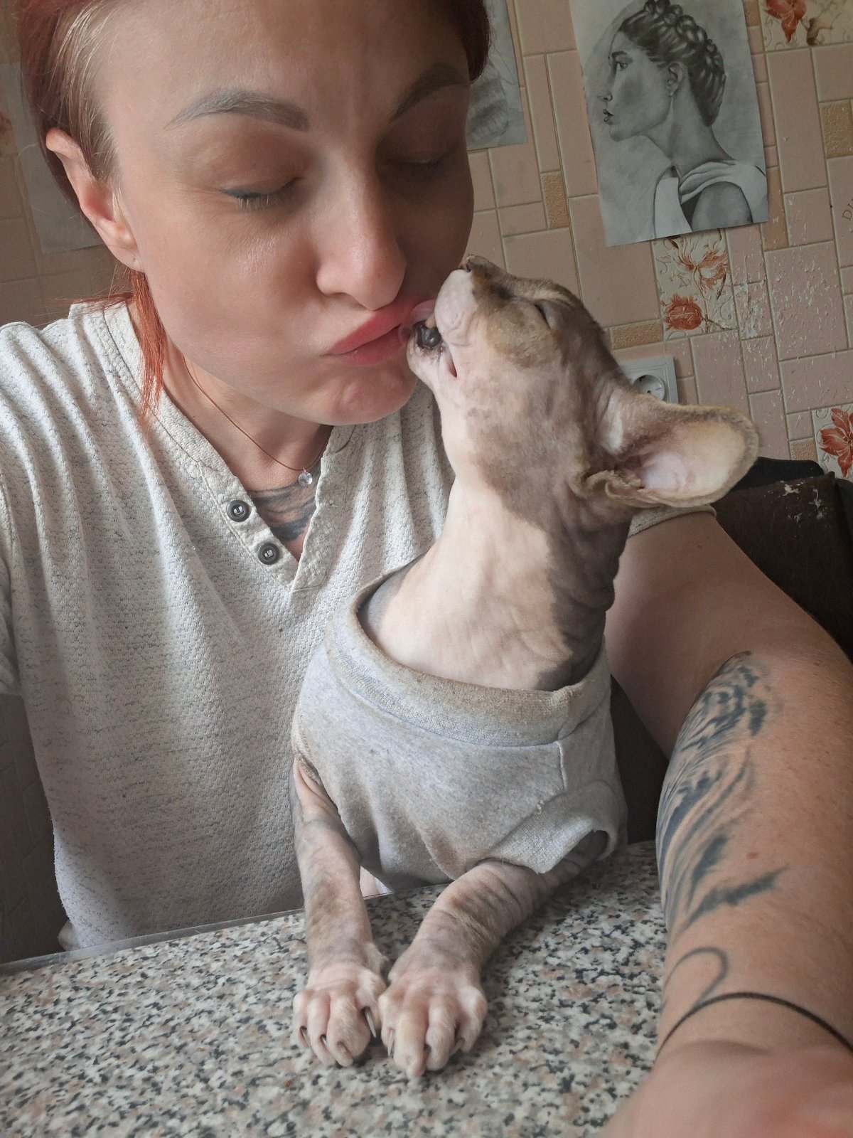 Lazy afternoon at home in Belarus with a Sphynx cat
