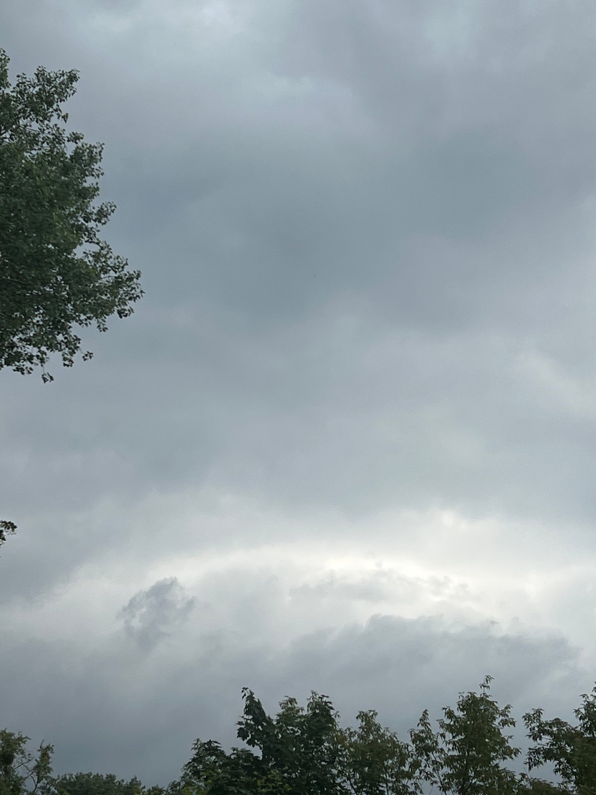 Heavy overcast sky above Warsaw's tree canopy, early morning.