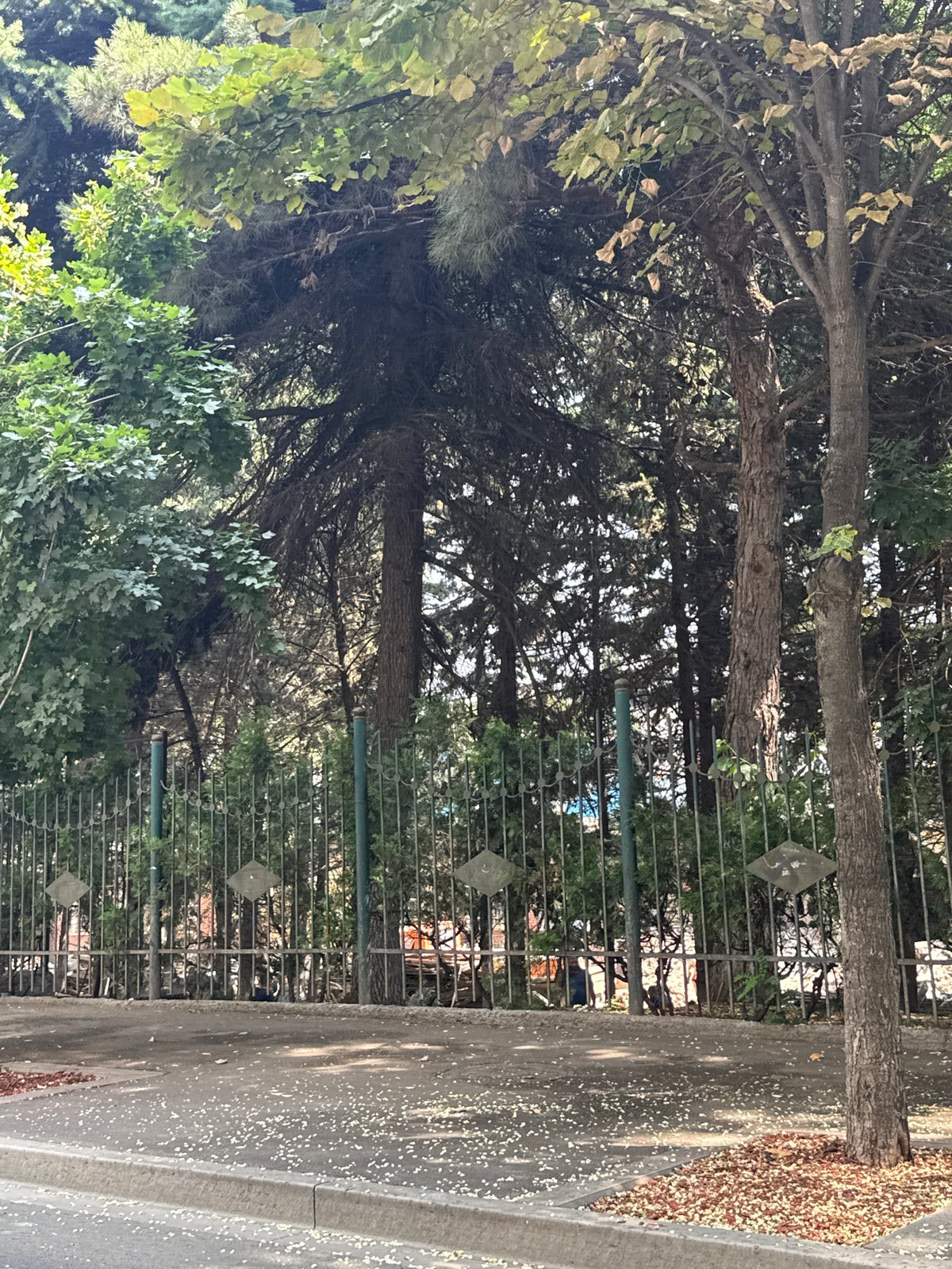 Tbilisi streets and AI storytelling thoughts, one morning.