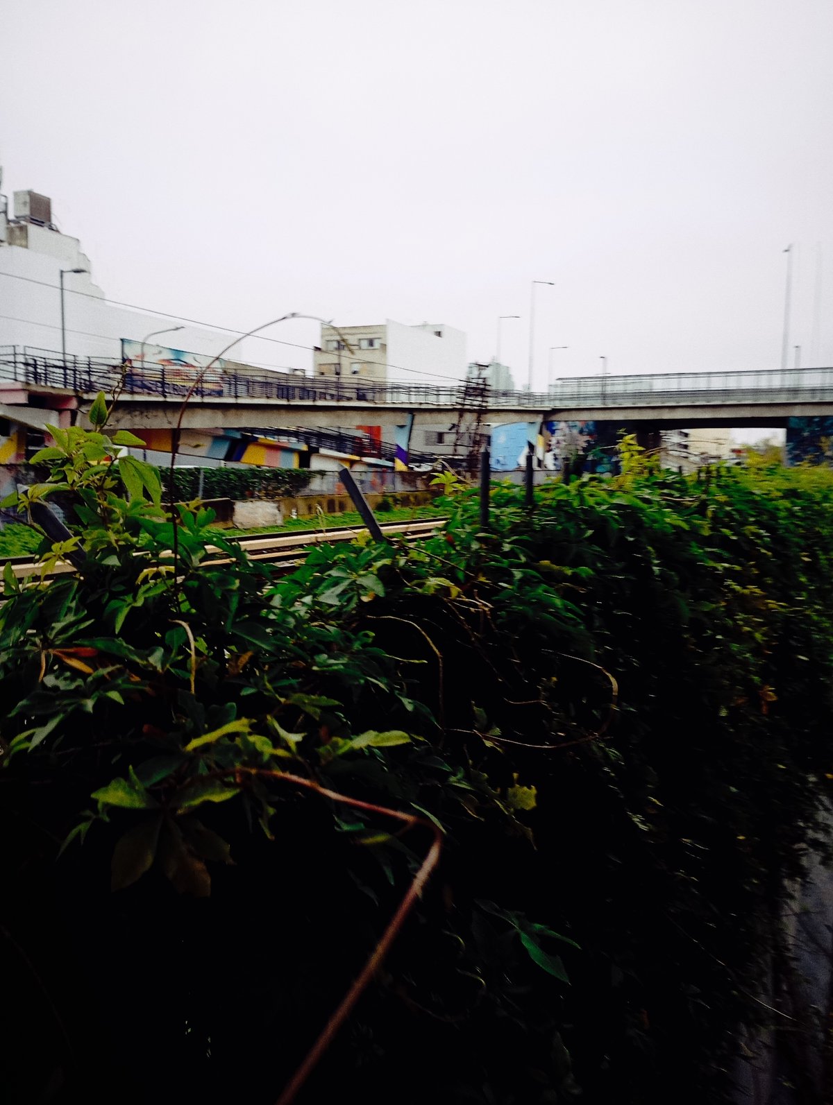 Abandoned railroad tracks and police activity documented in Buenos Aires