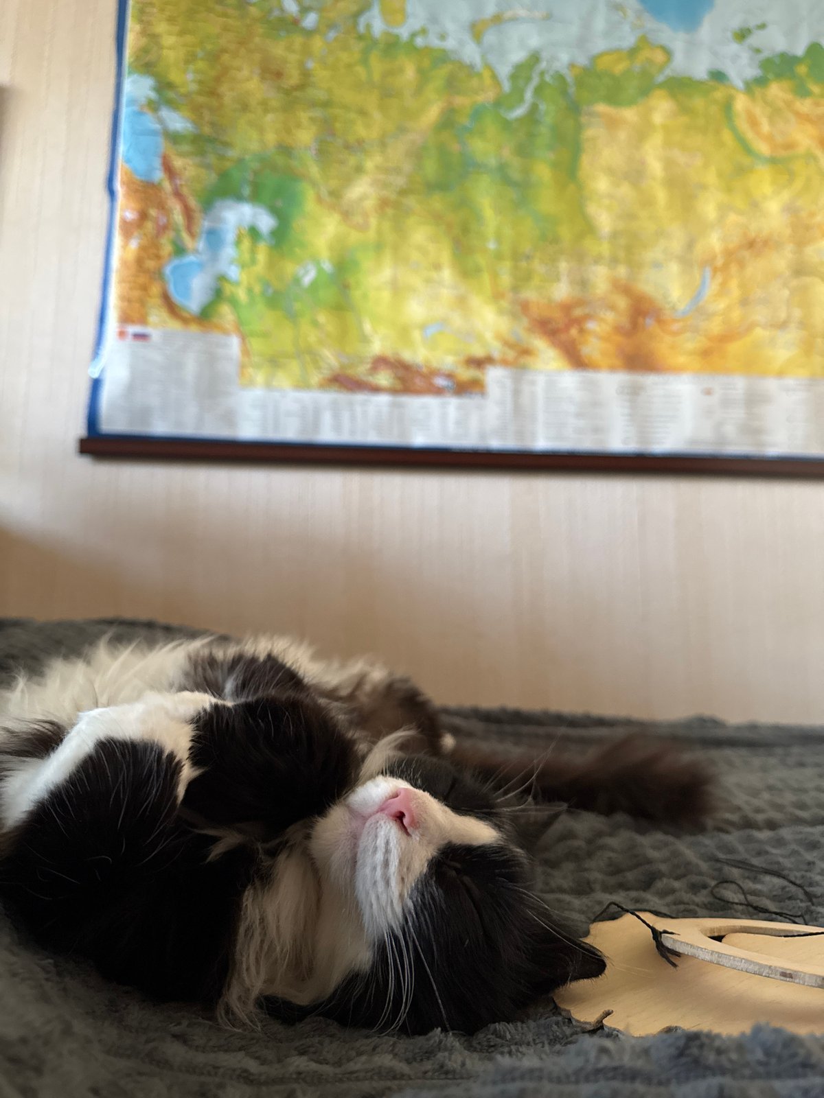 Quiet afternoon moments documented across Izhevsk, Russia